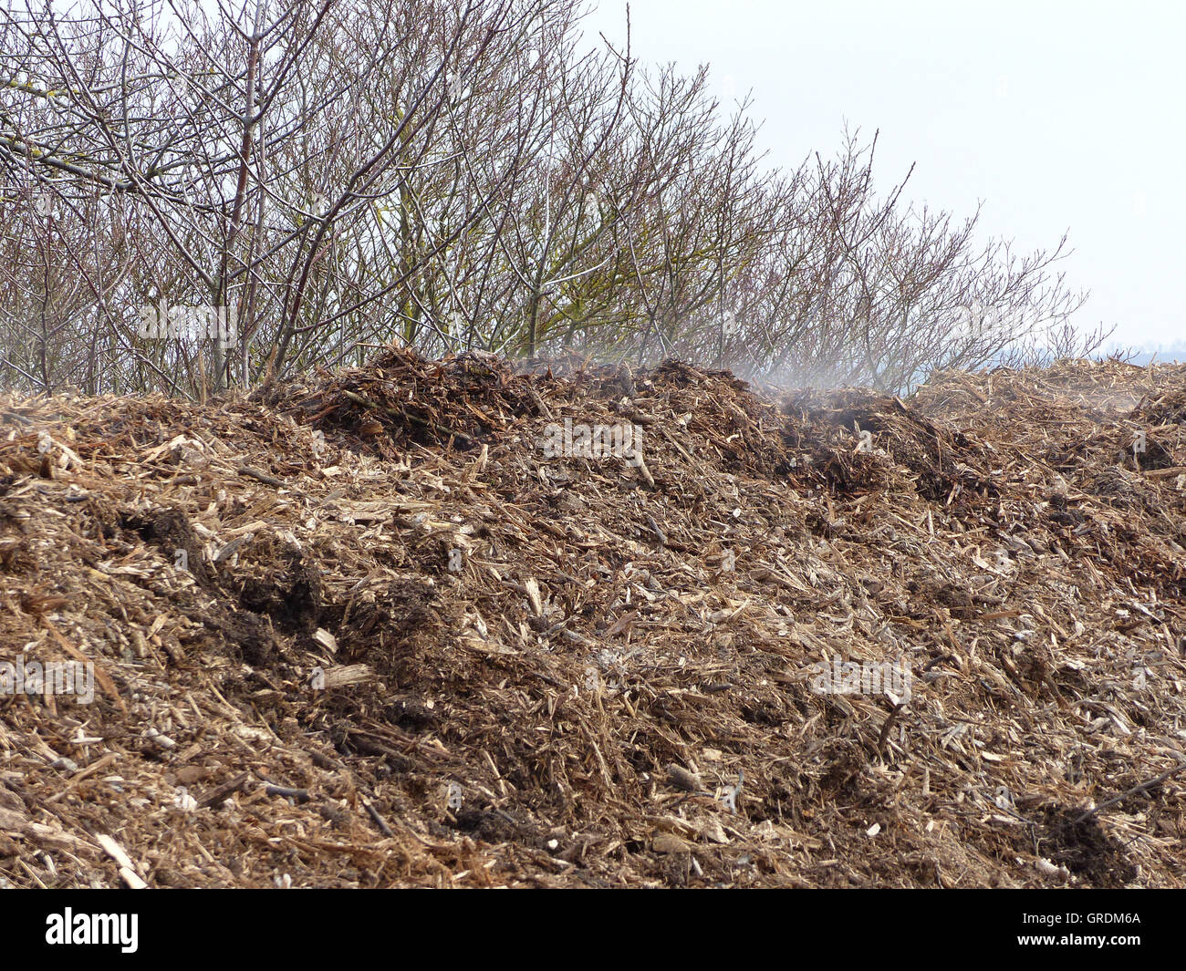 Compost With Smoke From Heat Generated By The Composting Stock Photo ...