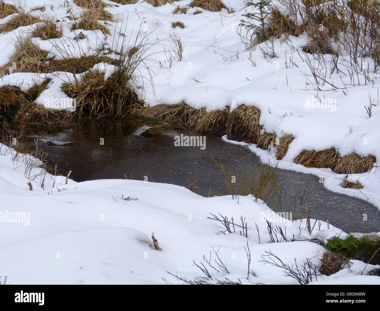 Brook Flows Through Wintry Landscape Stock Photo