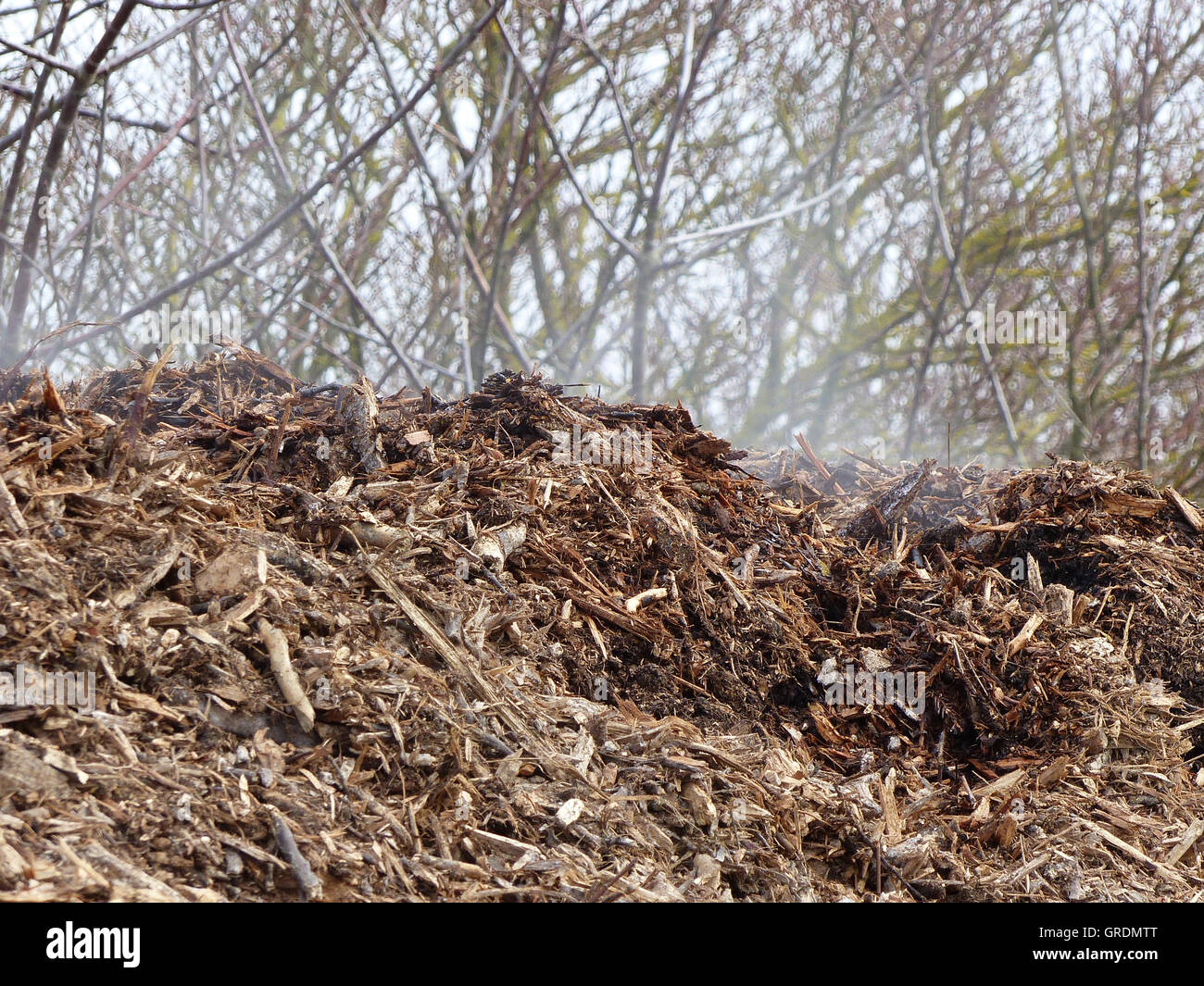 Smoke goods hi-res stock photography and images - Alamy