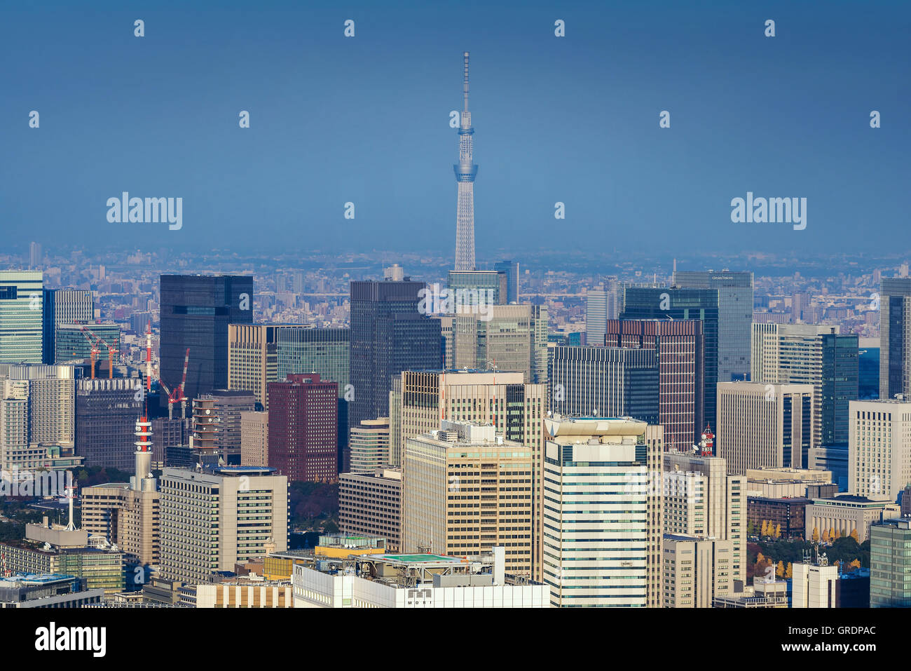 Skyline of Tokyo Cityscape with Tokyo Skytree, Japan Stock Photo Alamy