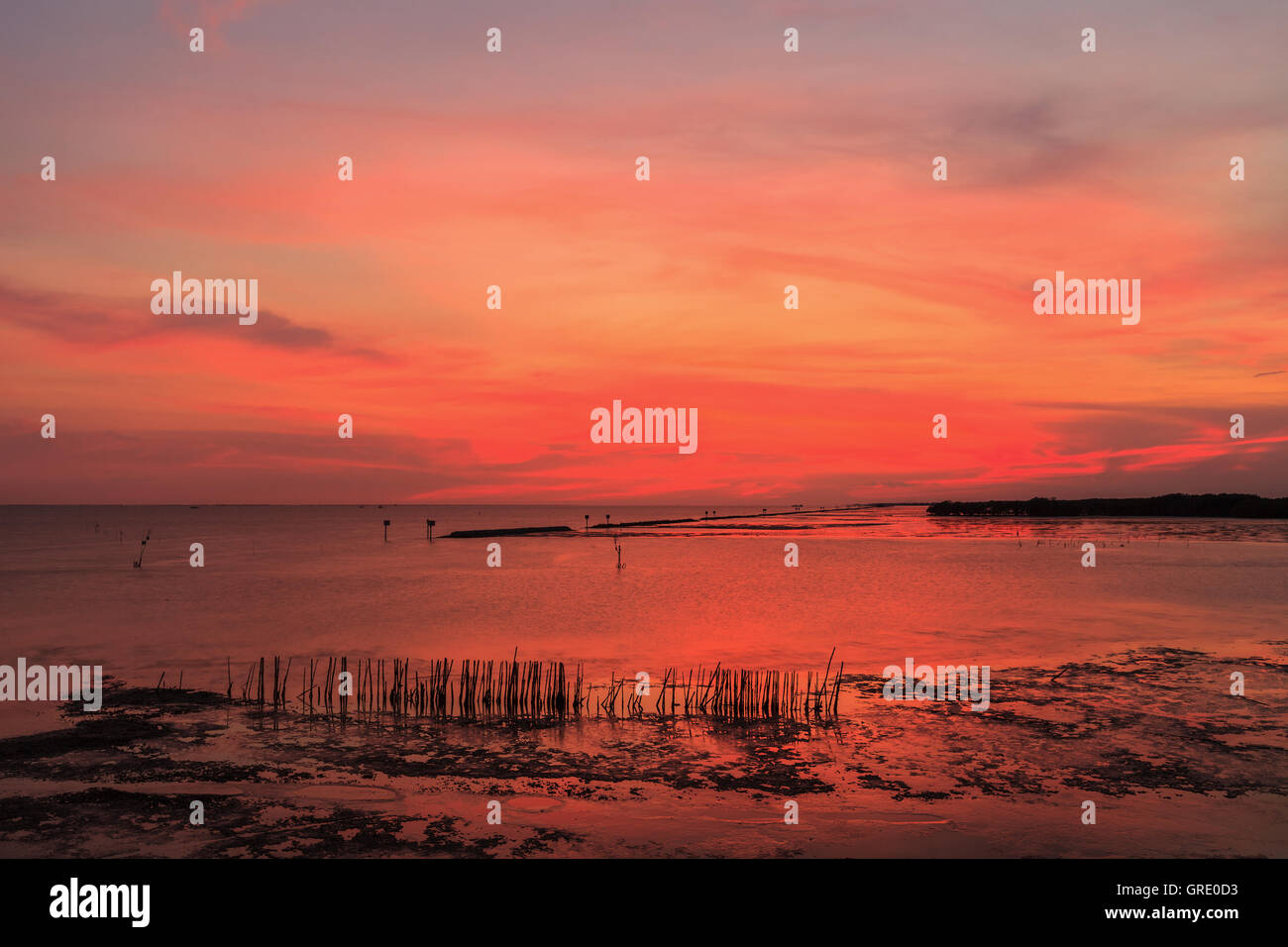 Beautiful sunset in the sea Stock Photo - Alamy