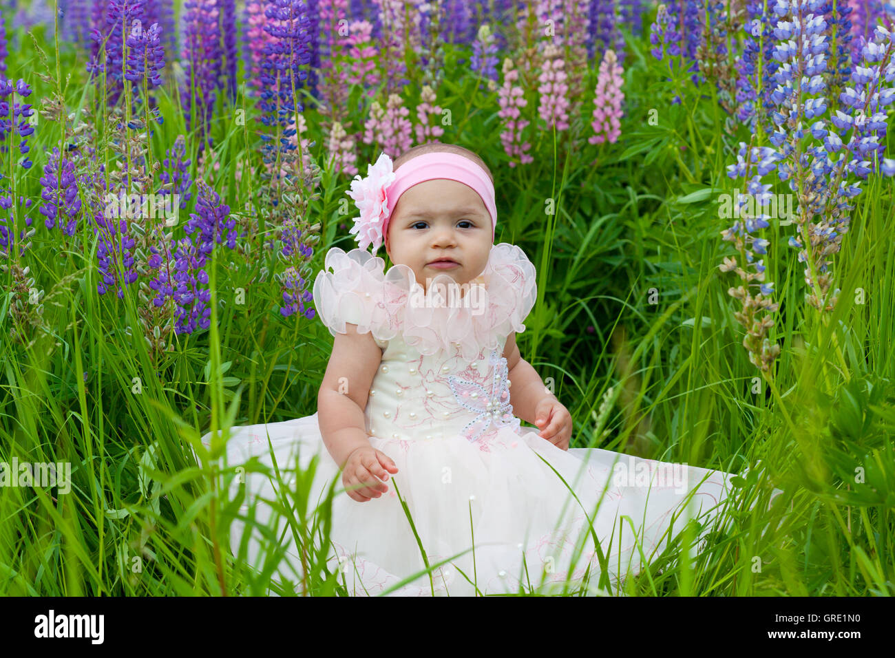 little girl in an elegant dress sits on a grass Stock Photo - Alamy