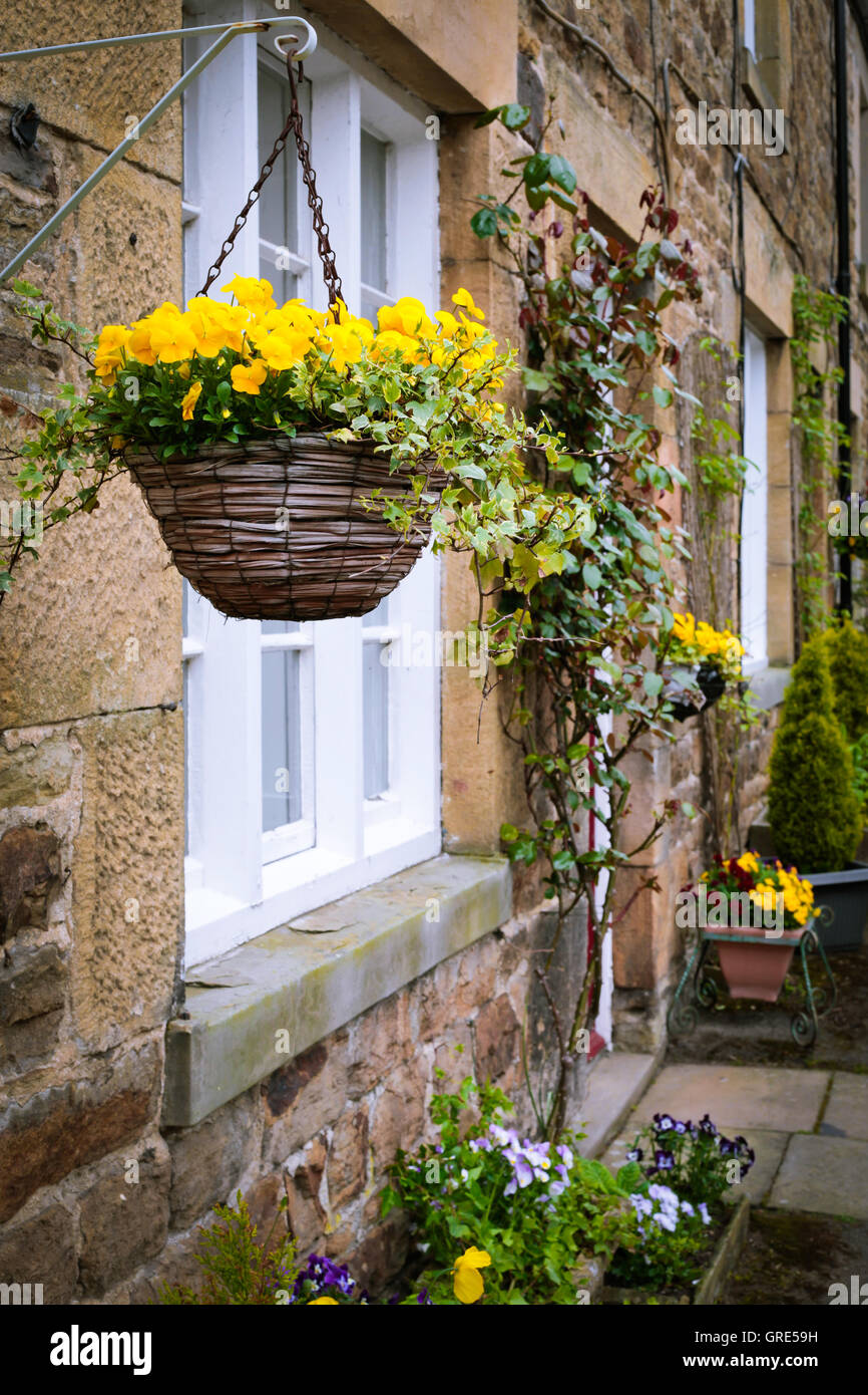 English garden flower baskets hi-res stock photography and images - Alamy