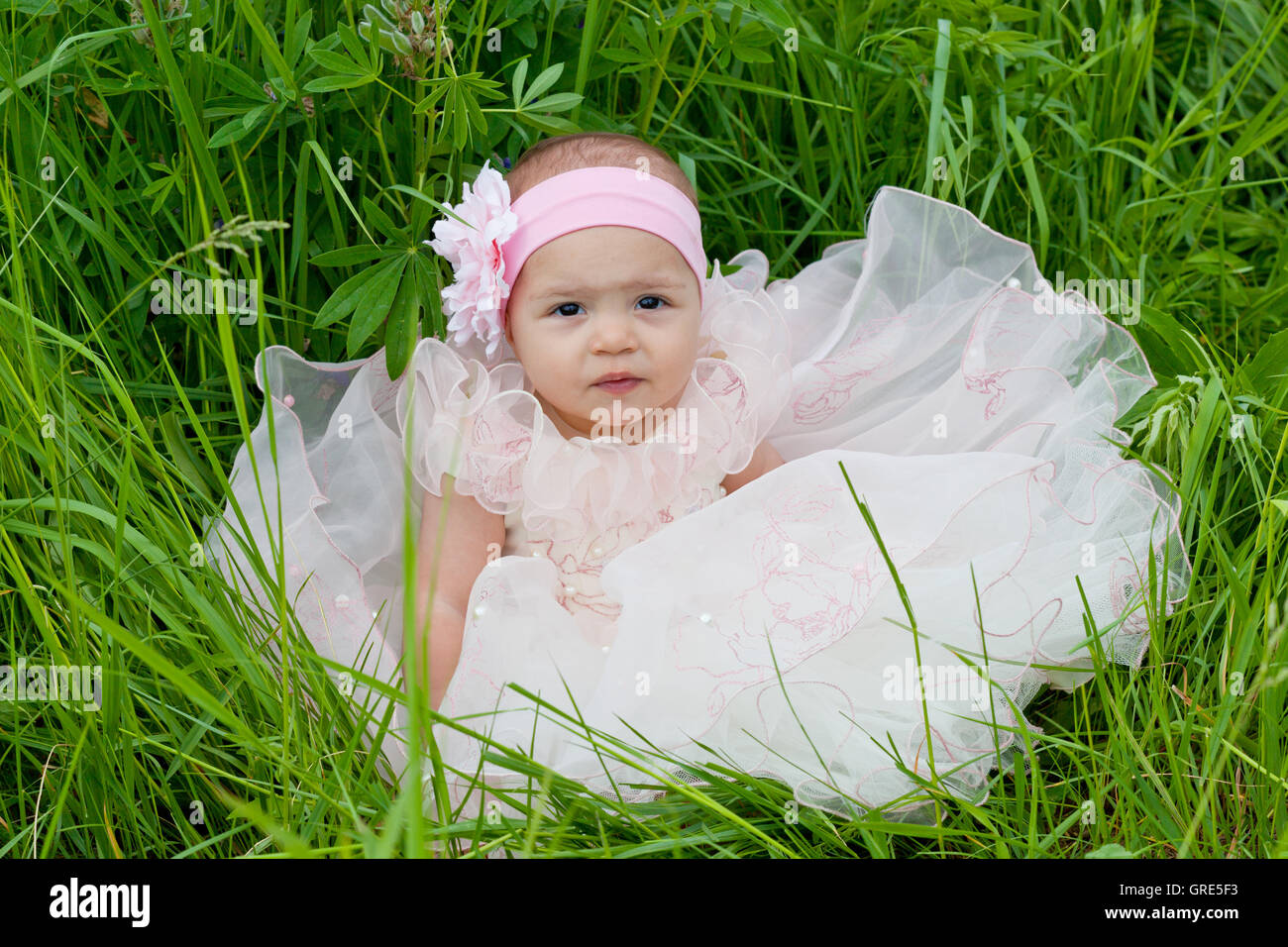 little girl in an elegant dress sits on a grass Stock Photo - Alamy