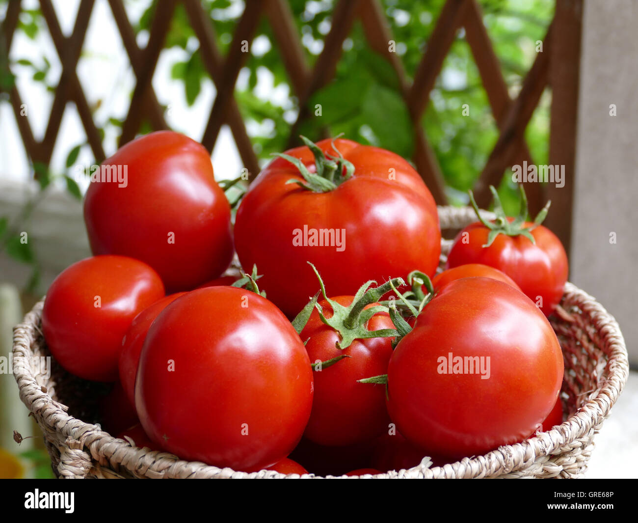 Red Tomatoes In A Basket Stock Photo - Alamy