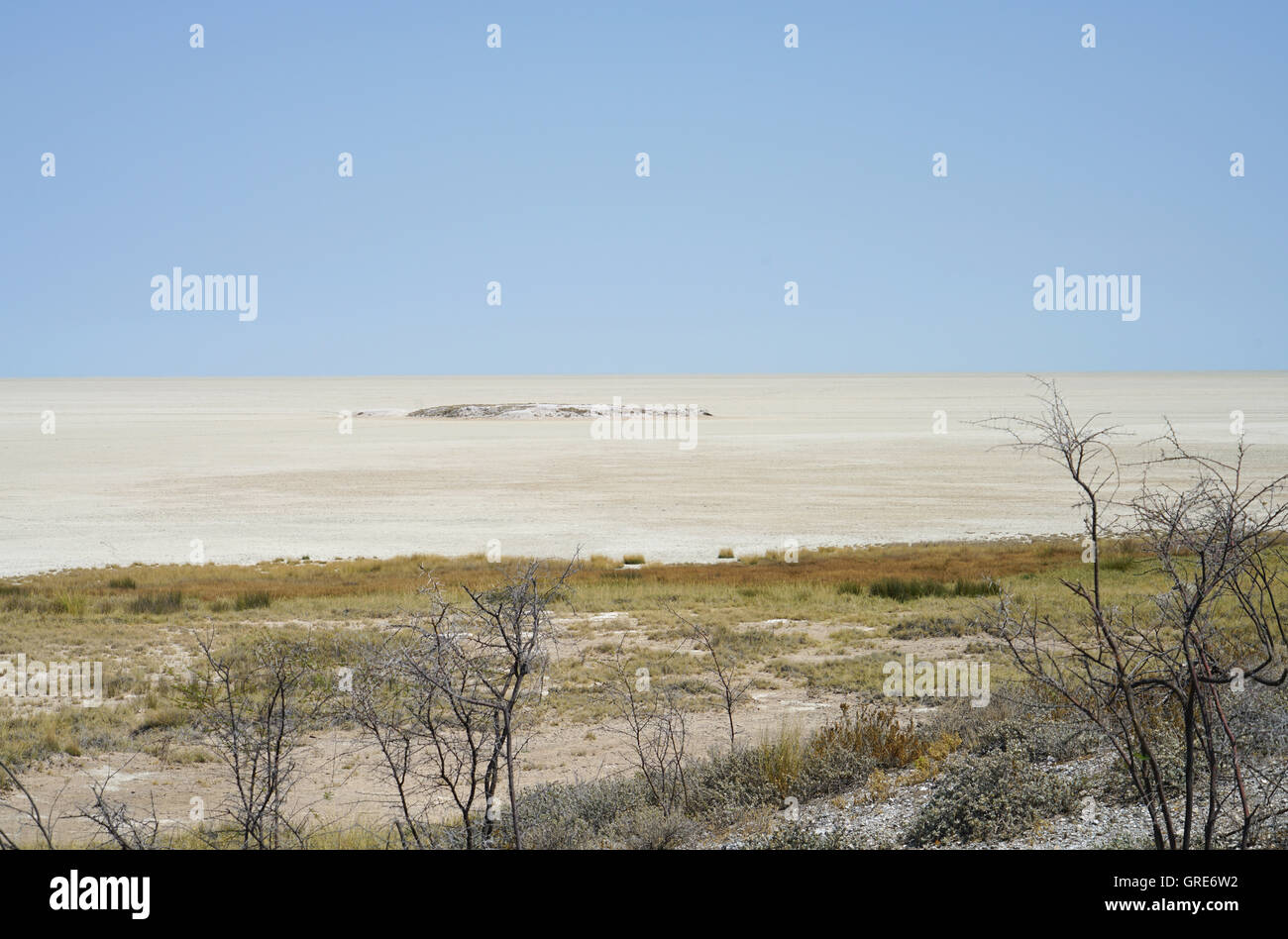 Dryness In The Etosha Pan, Namibia Stock Photo