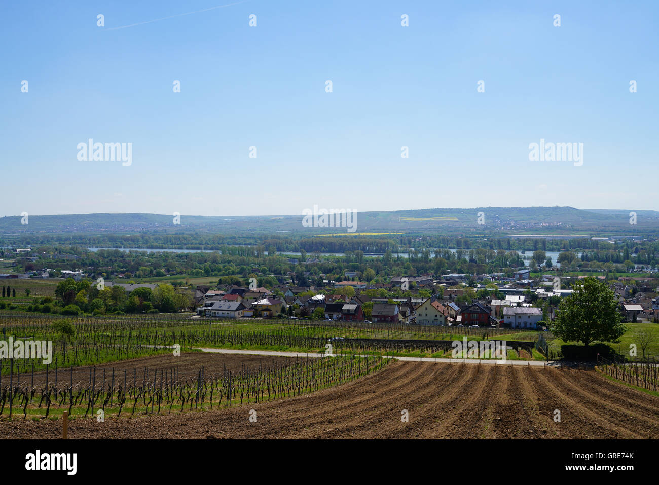 View To Ruedesheim An River Rhine, Rhinegau Stock Photo