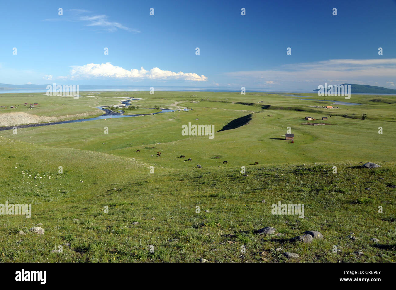 Pastoral Scene, Lake Khovsgol, Mongolia Stock Photo