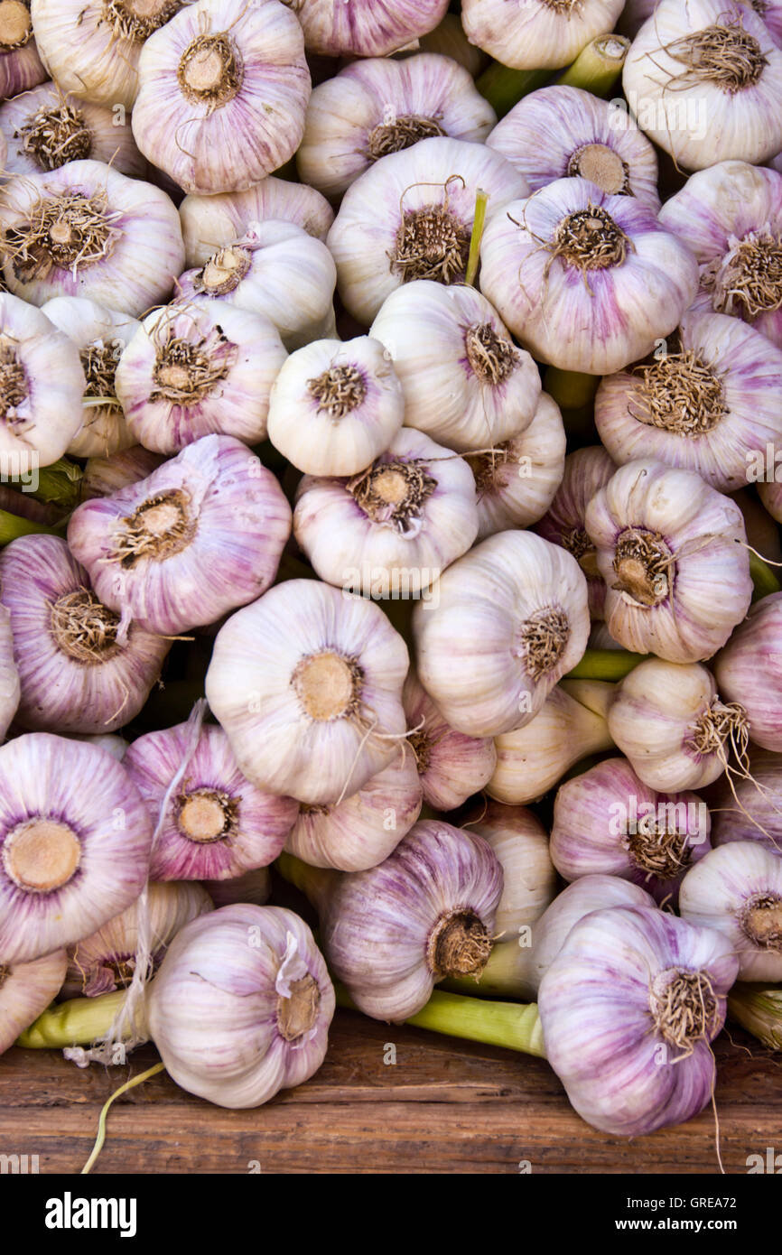 garlic bulbs Stock Photo Alamy