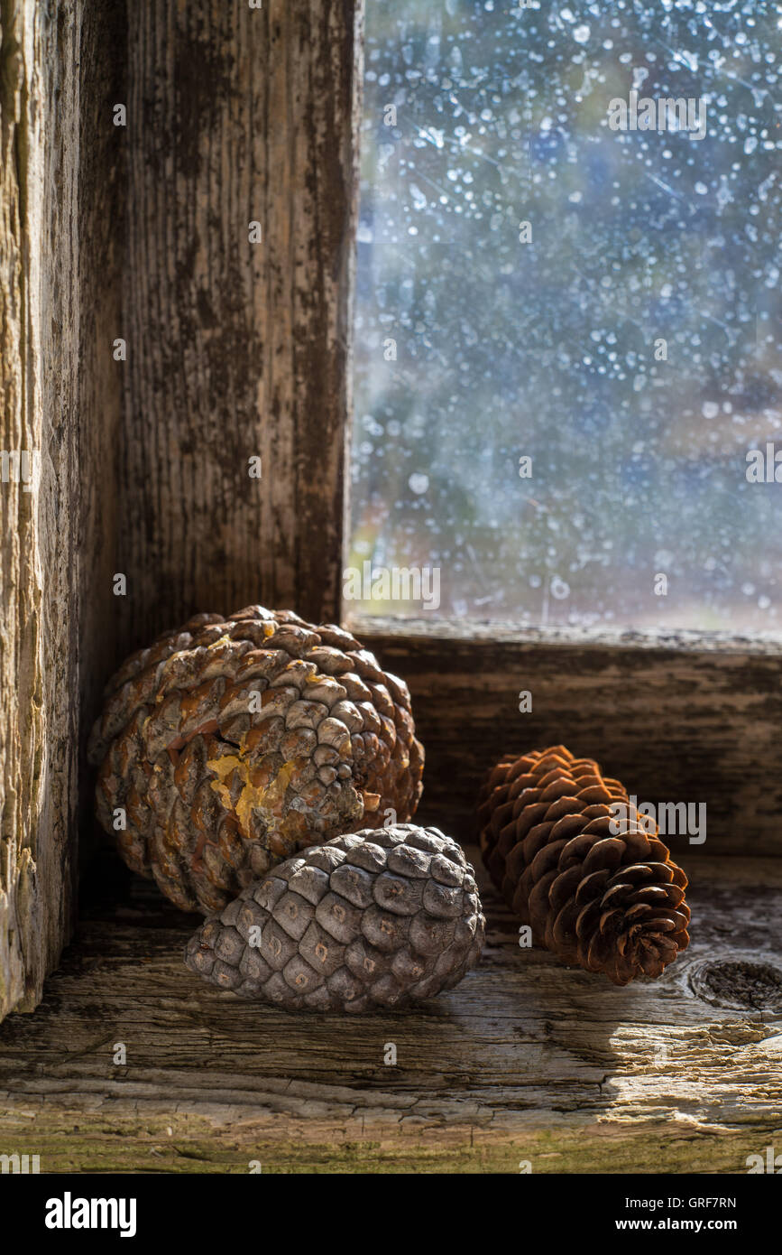 three pinecones and a candle on the windowsill of an old window Stock Photo