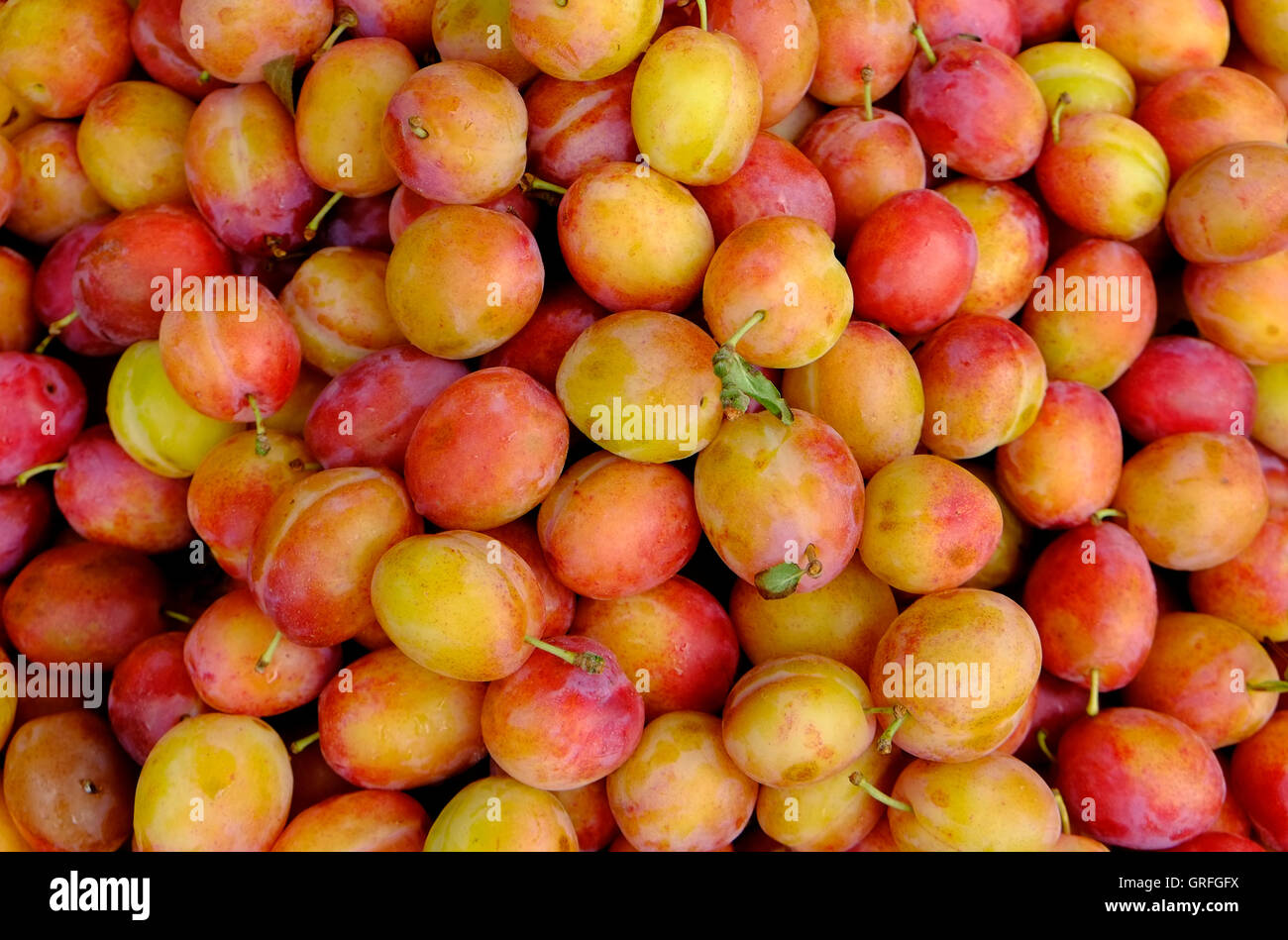 Victoria plums hires stock photography and images Alamy