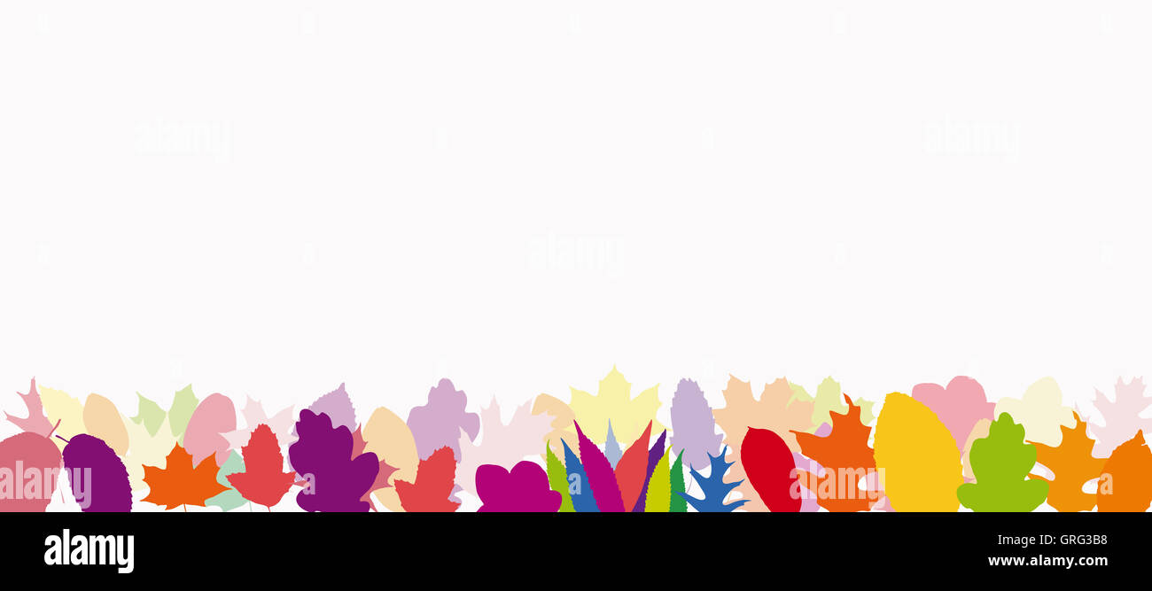 Many leaves in colorful colors in a row for background Stock Photo - Alamy