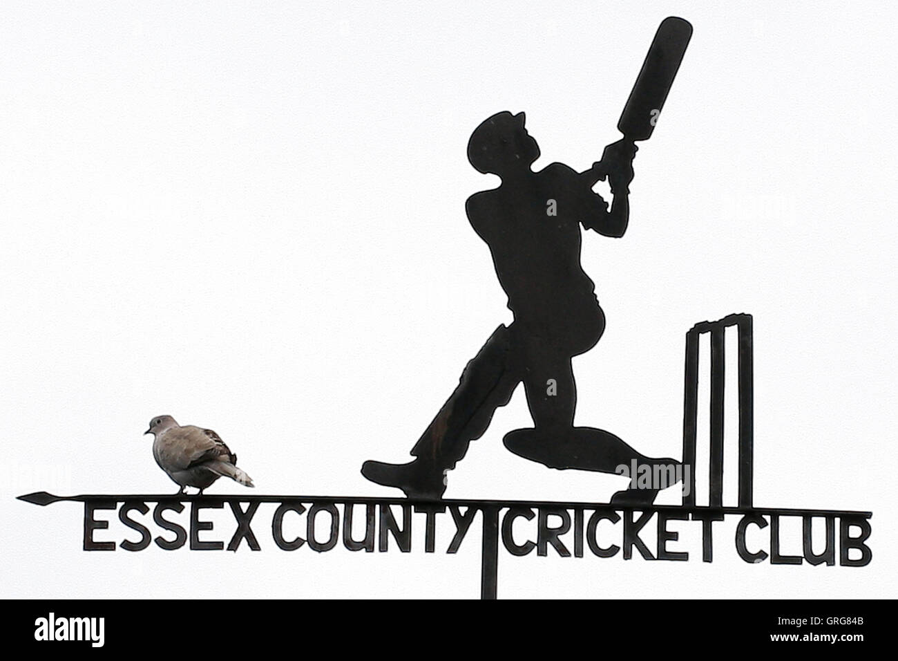 A pigeon is seen on the weather vane at the Ford County Ground - Essex CCC vs Derbyshire CCC - LV County Championship Division Two Cricket at the Ford County Ground, Chelmsford - 23/08/11 Stock Photo