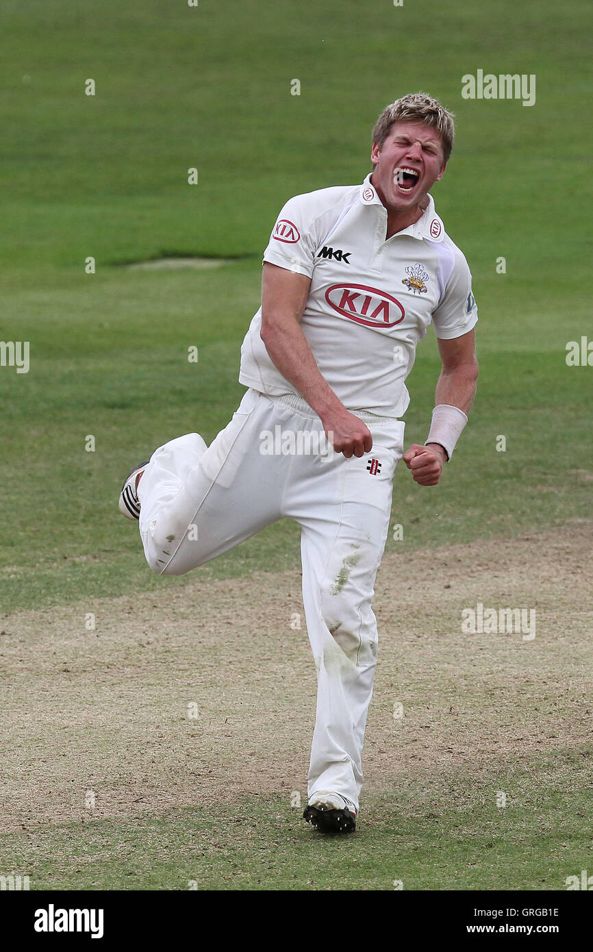 Stuart Meaker Stuart Meaker of Surrey celebrates the wicket of Graham Napier - Essex ...