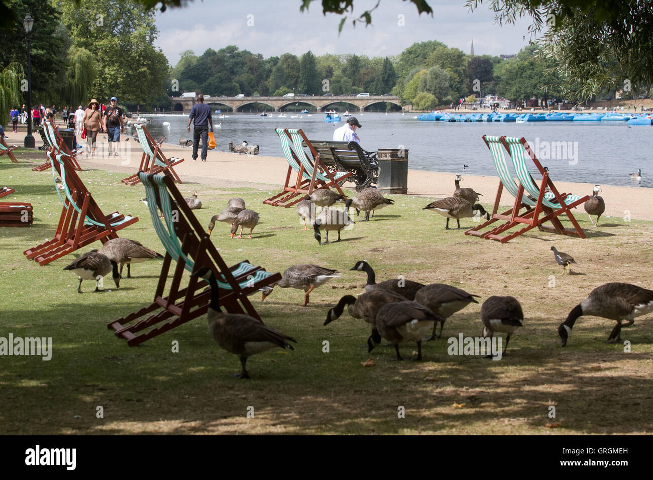 Humid Climate High Resolution Stock Photography and Images Alamy