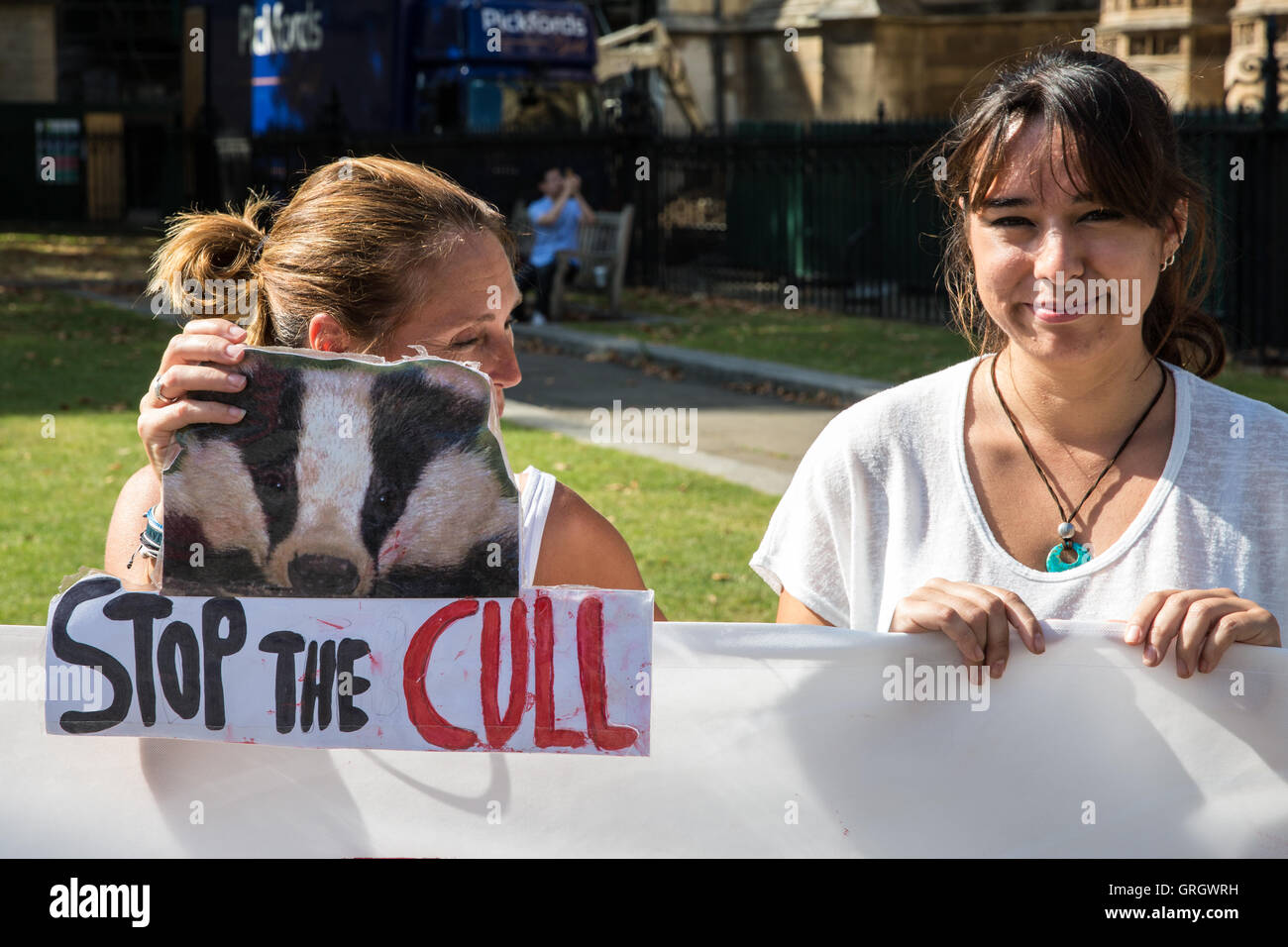 London, UK. 7th September, 2016. Animal rights campaigners protest outside Parliament against the badger cull. Credit:  Mark Kerrison/Alamy Live News Stock Photo