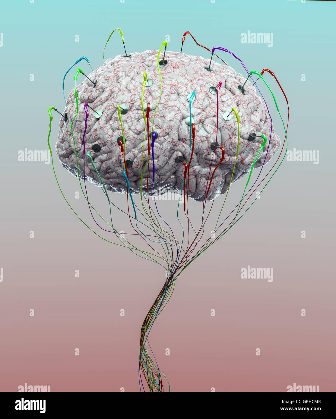 A human brain floats in the air as a technical illustration Stock Photo