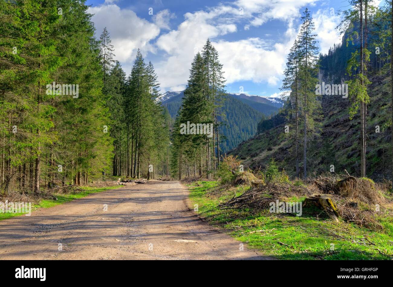 Spring sunny mountain landscape. Gravel forest road in a beautiful mountain valley. Stock Photo