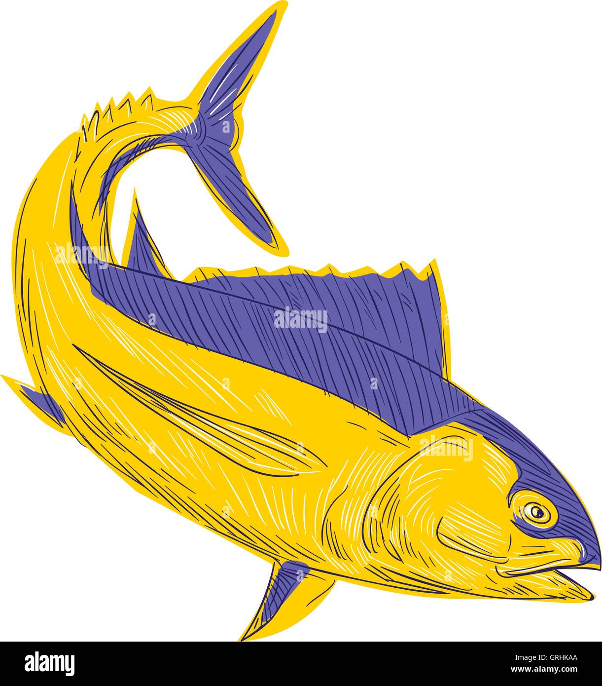 Albacore Tuna Fish Drawing Stock Vector