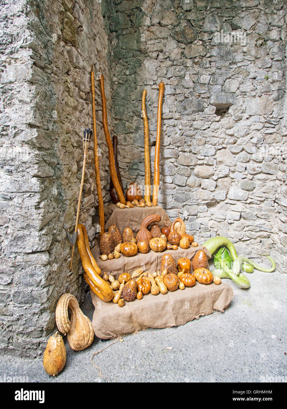 Dry ornamental gourds. Cucubitaceae Stock Photo Alamy