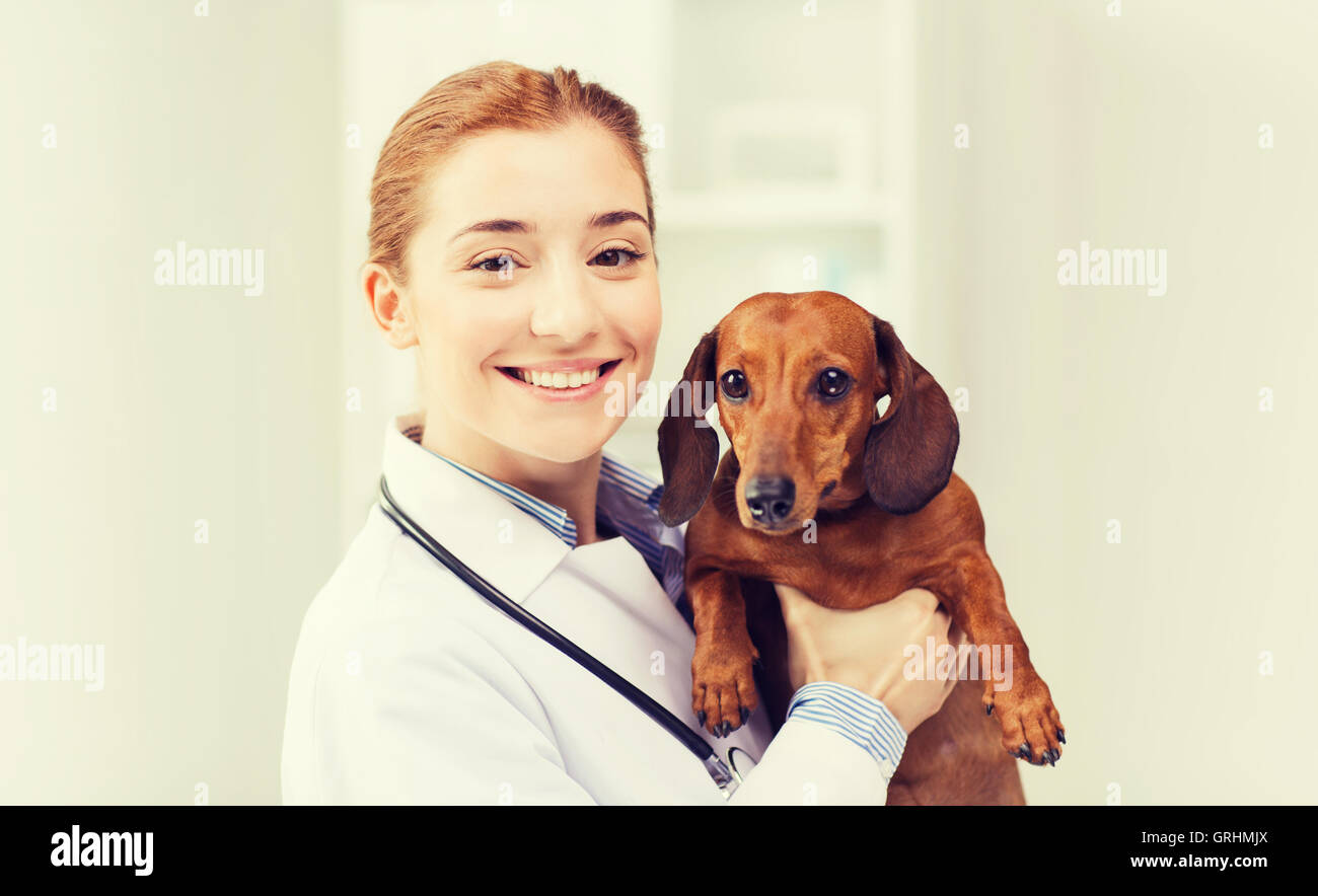 happy doctor with dog at vet clinic Stock Photo Alamy