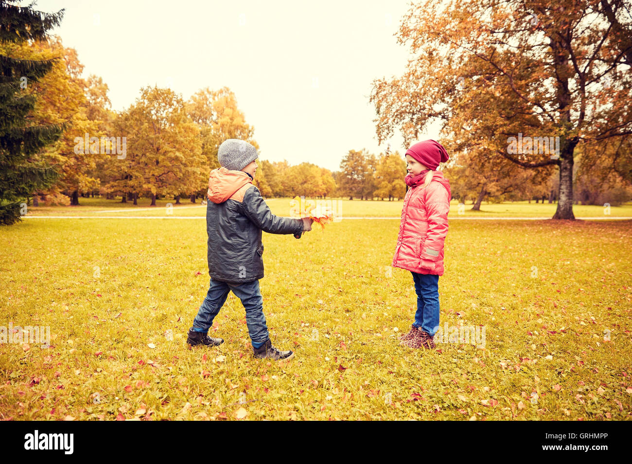 little boy giving autumn maple leaves to girl Stock Photo Alamy