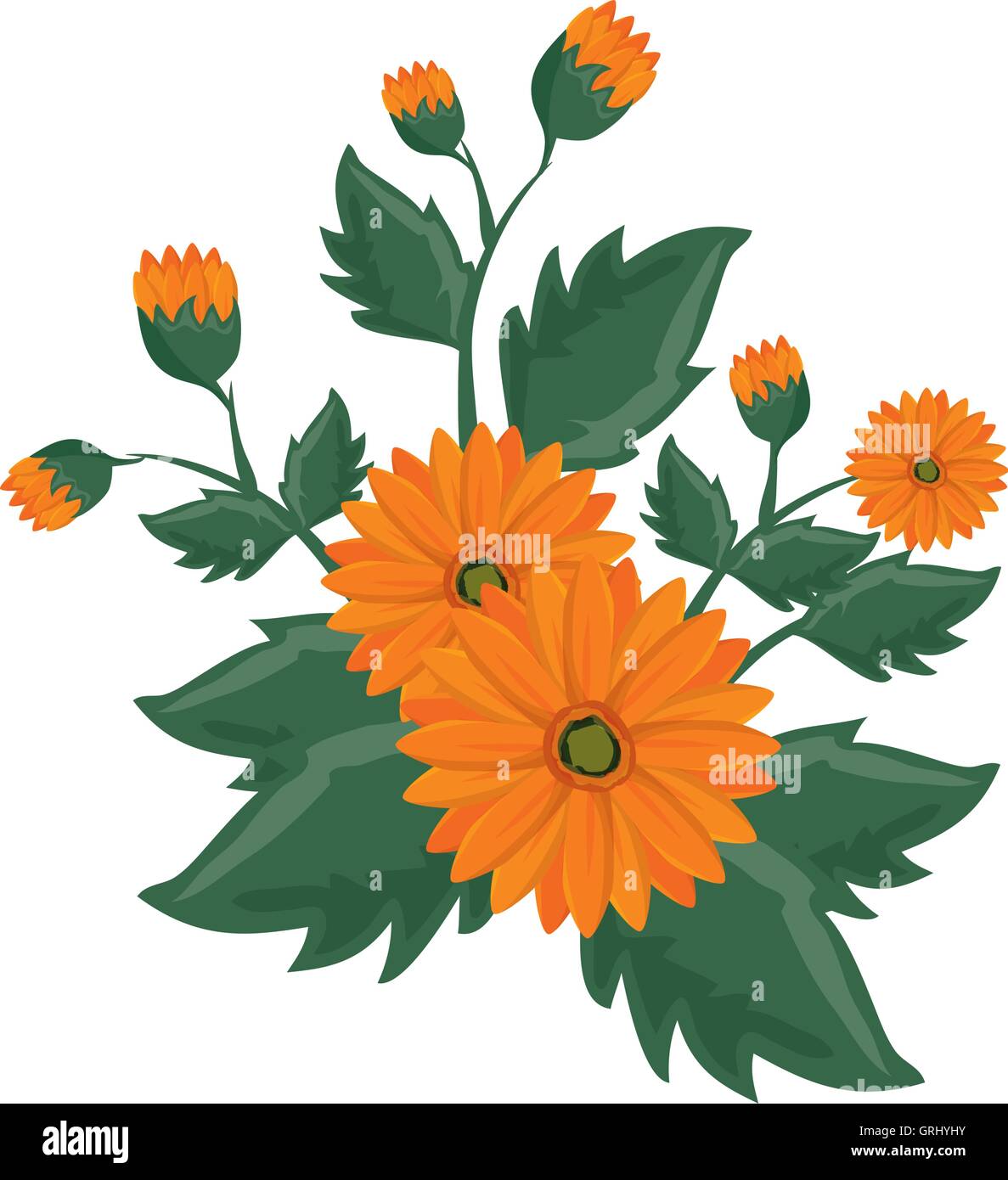 floral flowers with green leaves Stock Vector Image & Art - Alamy