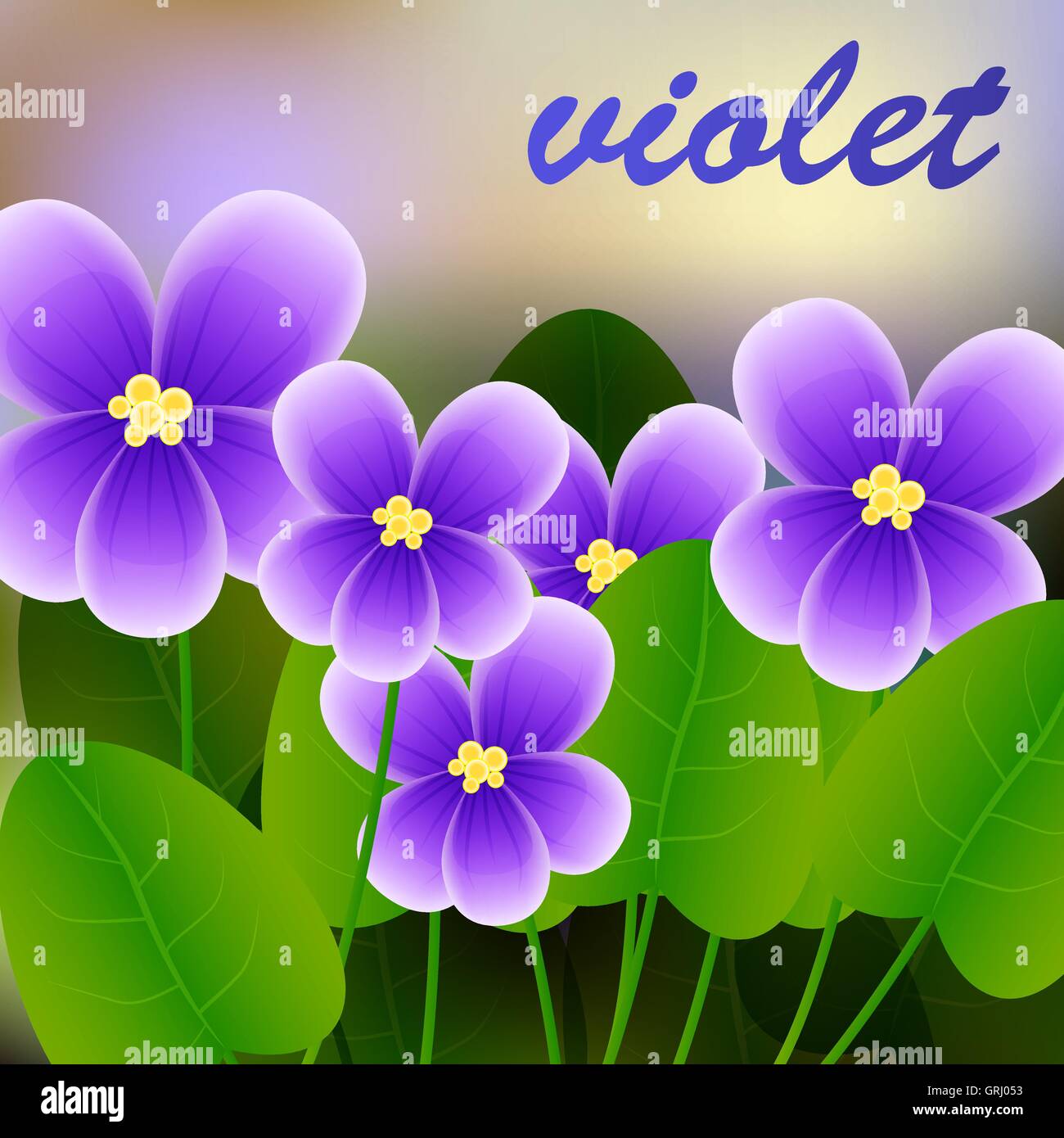 Spring background with blossom brunch of violet flowers. Vector Stock Vector