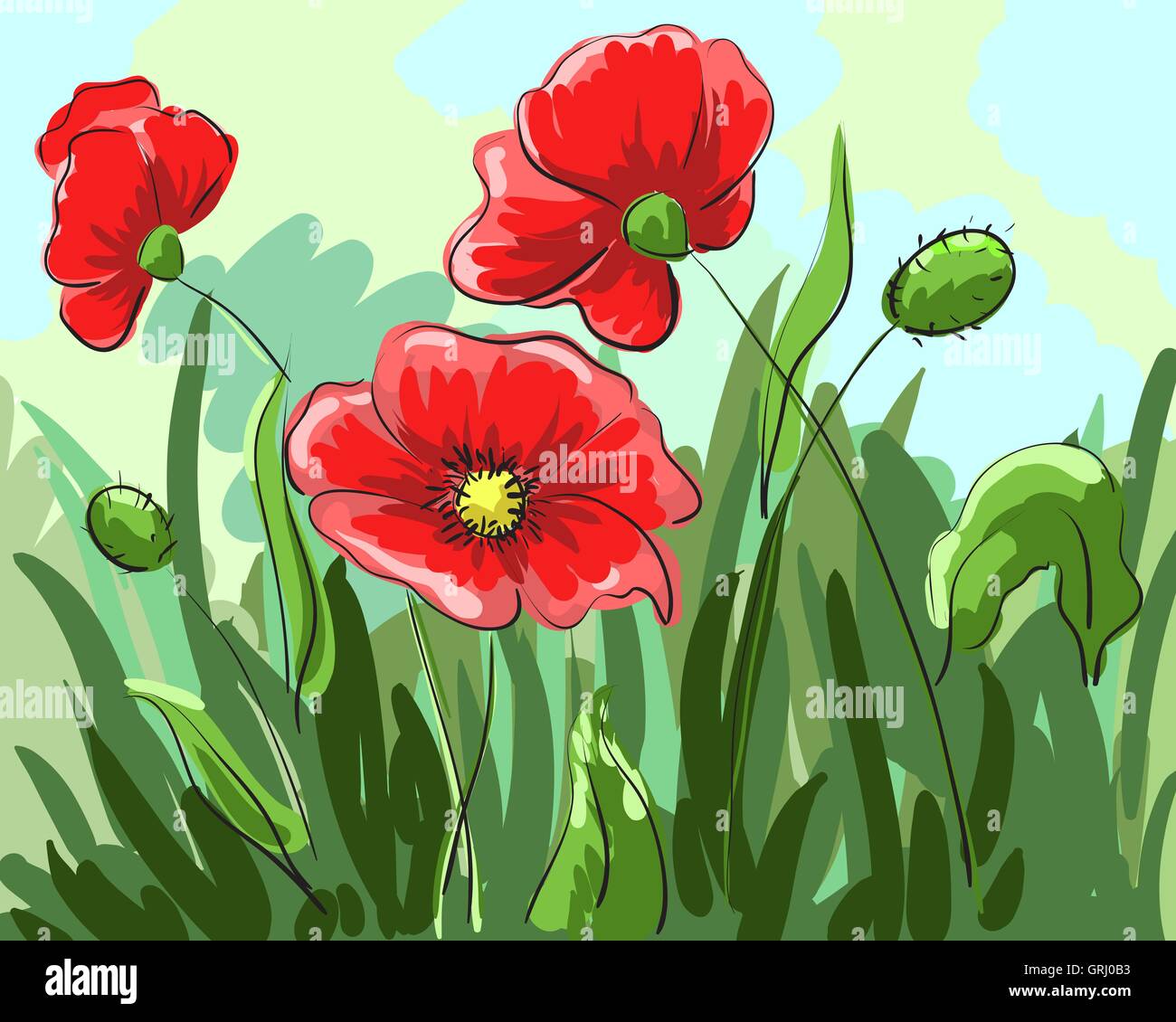 red poppies painted by hand grow on the field with green leaves. Vector Stock Vector