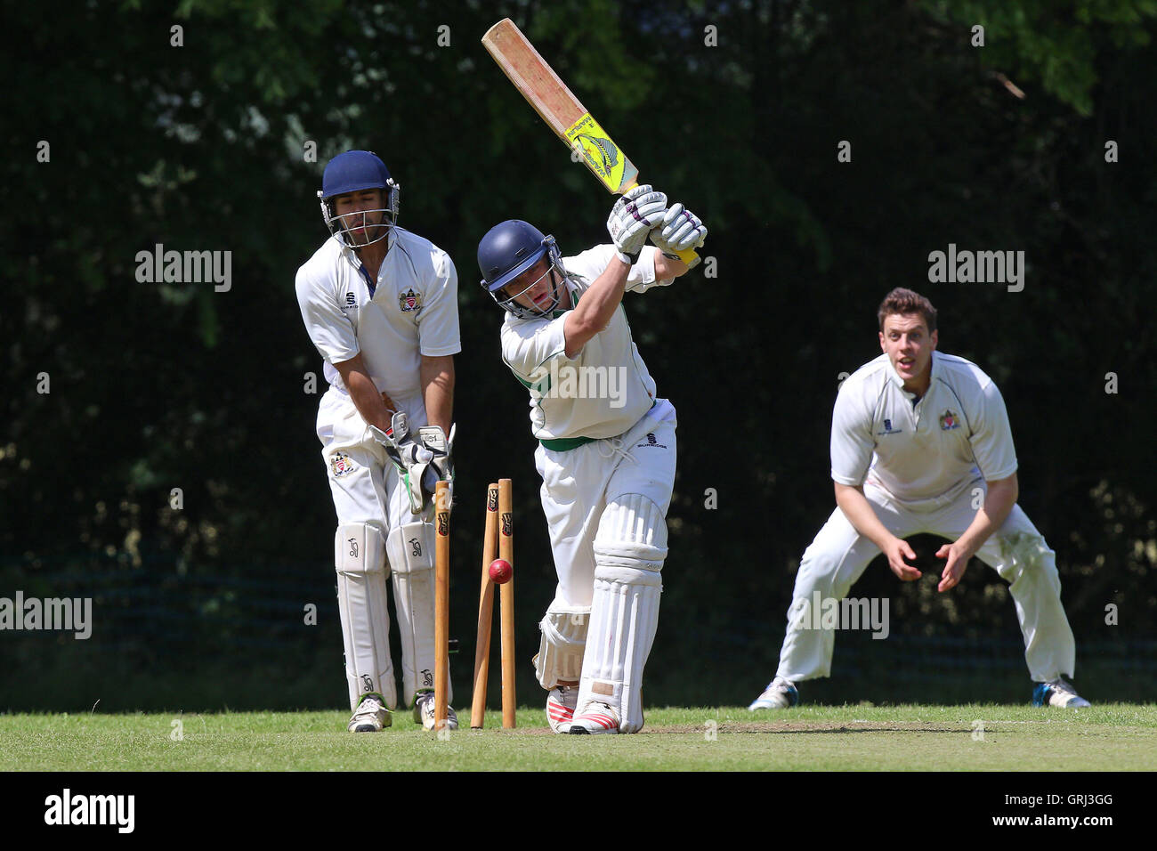 Hornchurch Athletic players celebrate a wicket during Hornchurch Athletic CC (fielding) vs Writtle CC, T Rippon Mid Essex Cricket League Cricket at Coronation Playing Field on 2nd July 2016 Stock Photo