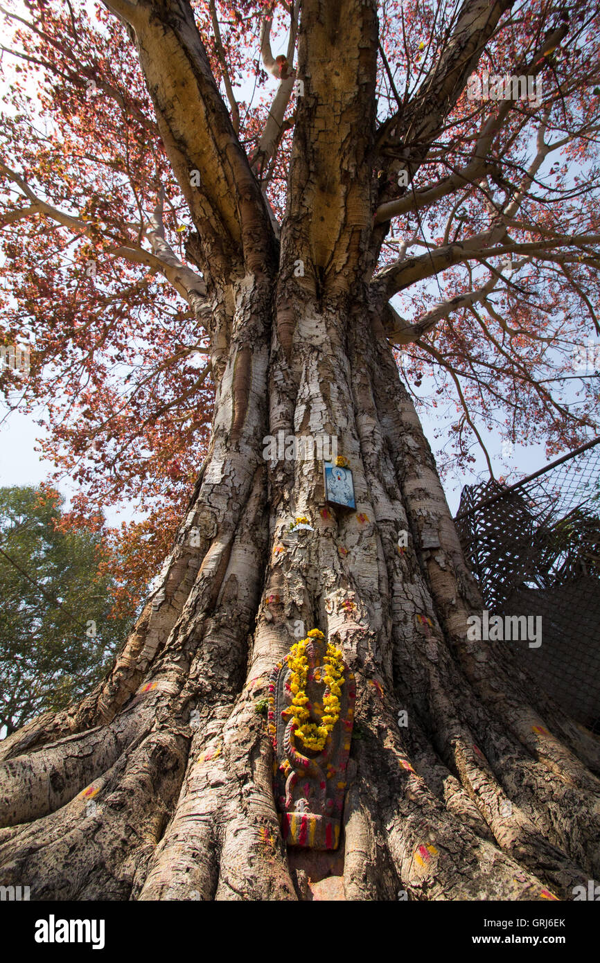 A snake idol or Shrine seen infront of The ‘Water Gate’ next to the Gangadharshwera Temple. Srirangapatna. Mysore Stock Photo