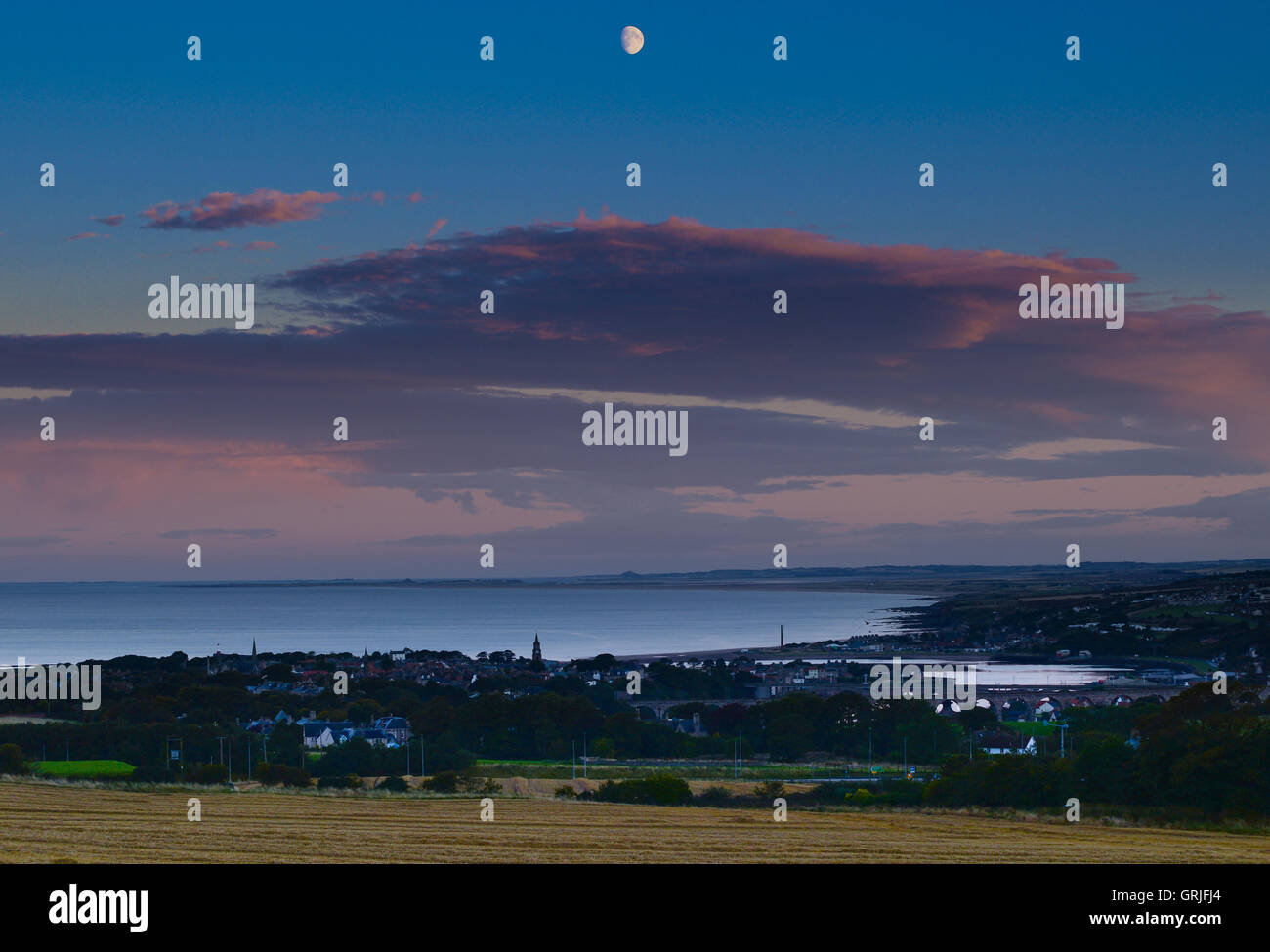 The battle of halidon hill hires stock photography and images Alamy