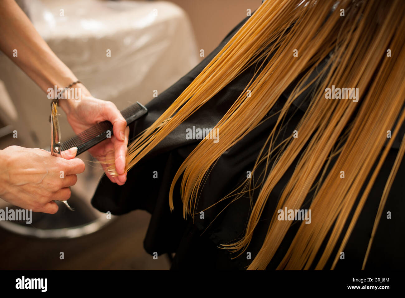 Hair stylist at work hairdresser cutting hair to the customer before