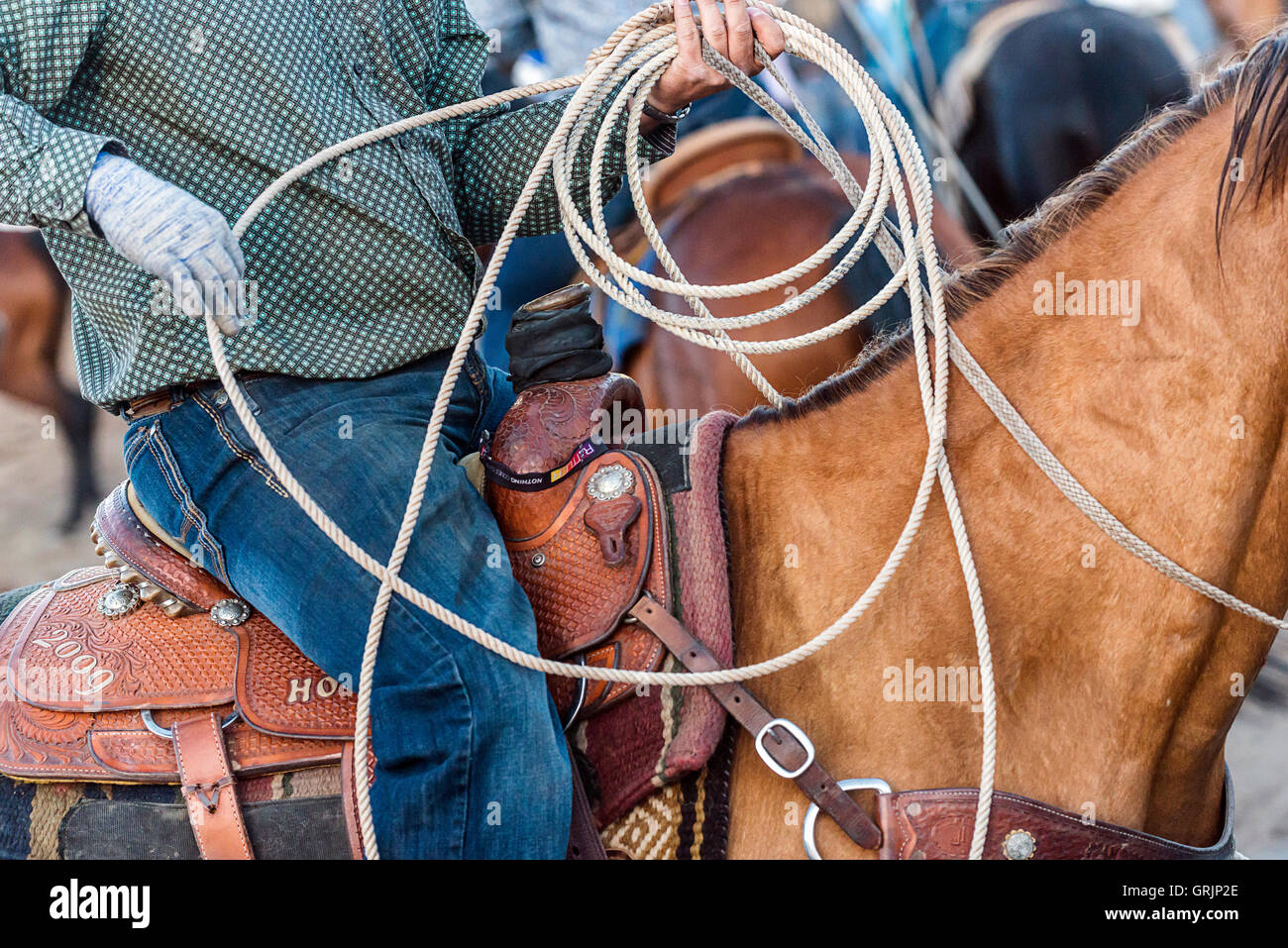 Close up image of a cowboy preparing his lasso whilst on his horse at the rodeo Stock Photo