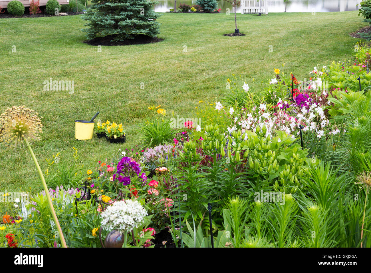 Planting new flowers in a colorful private garden with lush green