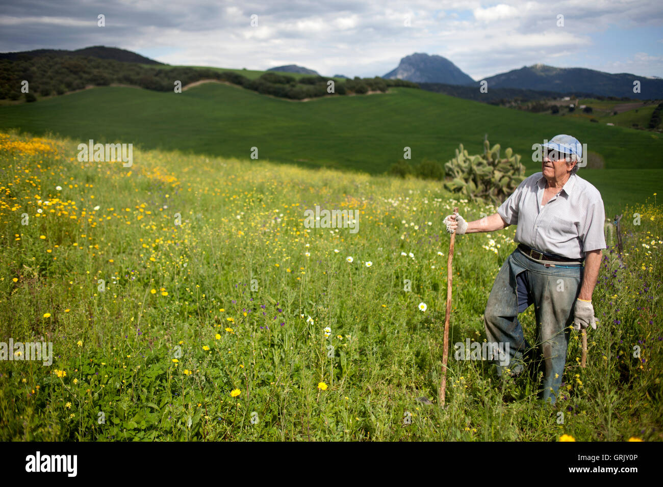 Organic farmer Diego Sanchez walks in his organic farm in Prado del Rey, Cadiz, Andalusia, Spain Stock Photo