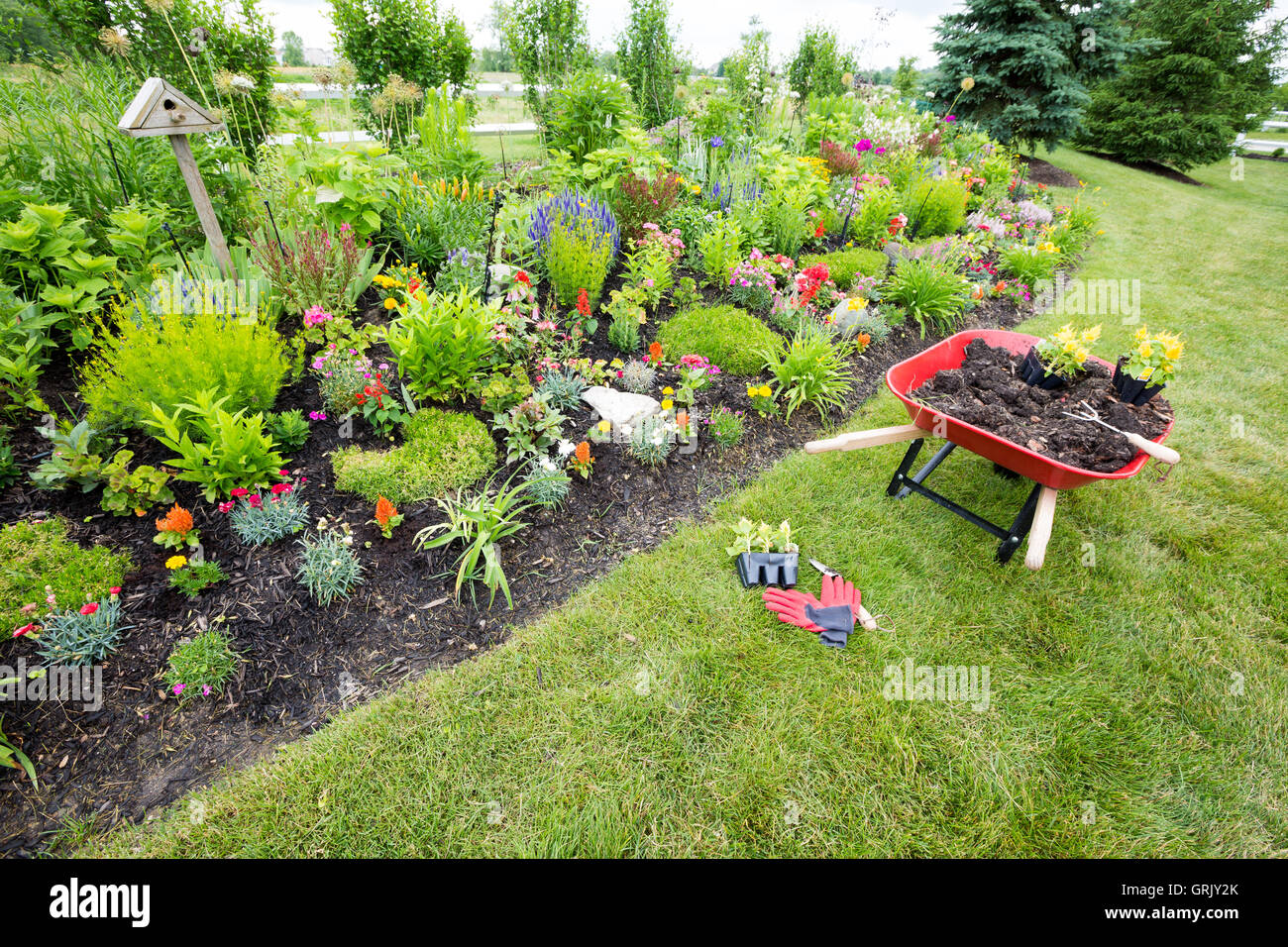 Garden tools laying on the ground near an arrangement of beautiful plants and flowers Stock Photo