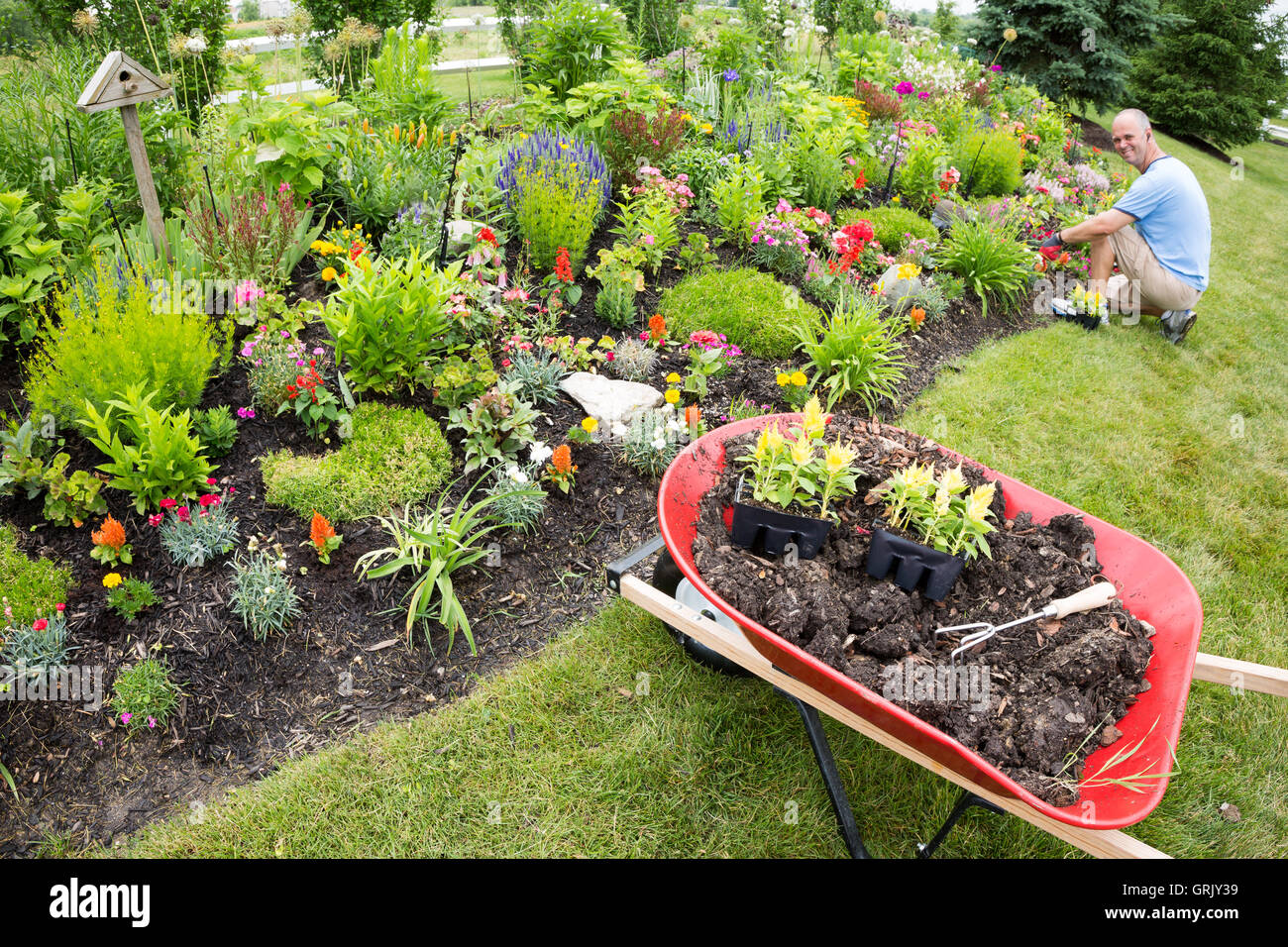 Man planting in the garden with gardening tools close by under the sun Stock Photo