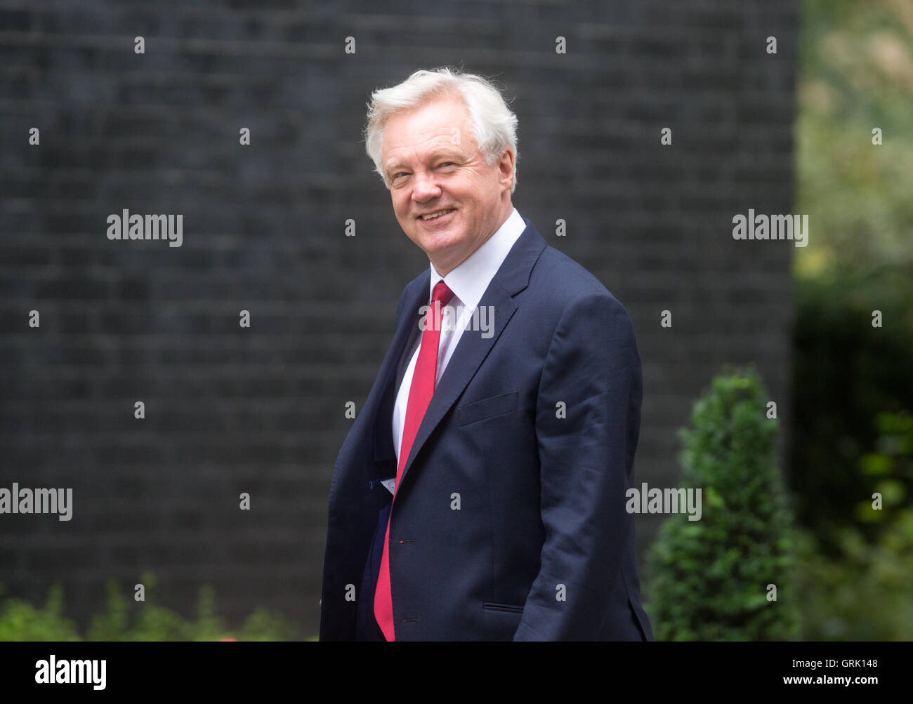 David Davis,Secretary of State for Exiting the European Union,arrives for a Cabinet meeting in Downing Street Stock Photo