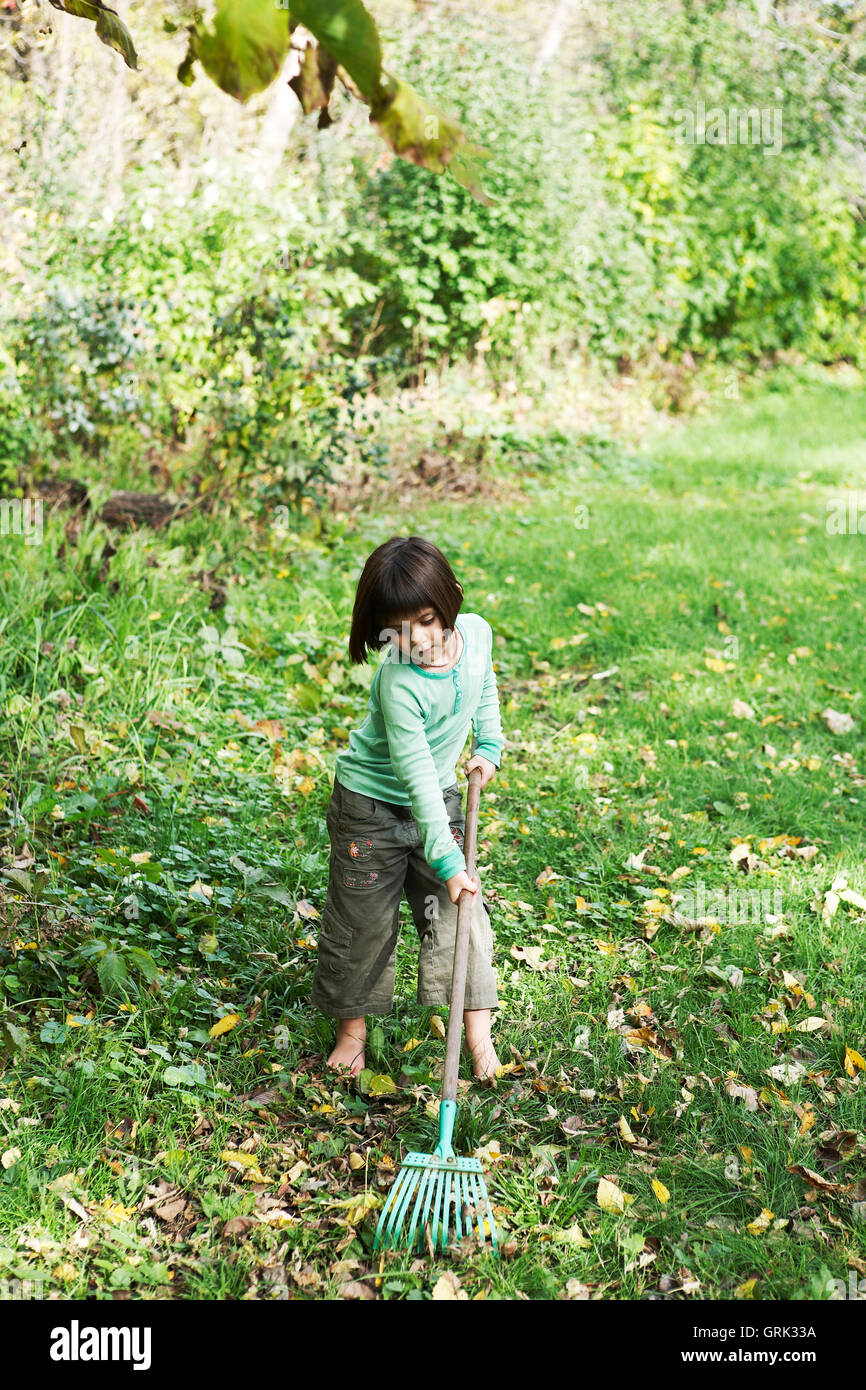4 1/2 year old raking leaves in autumn Stock Photo