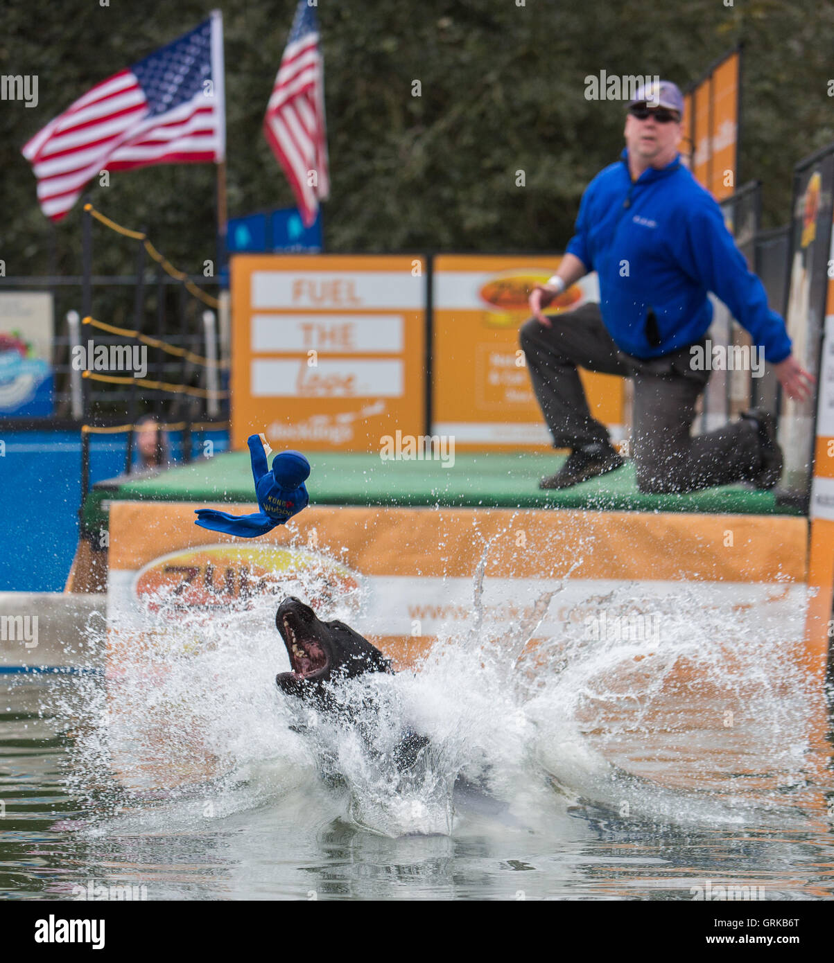 Dock Dogs jumping competition in South Carolina, USA. Dogs can jump up