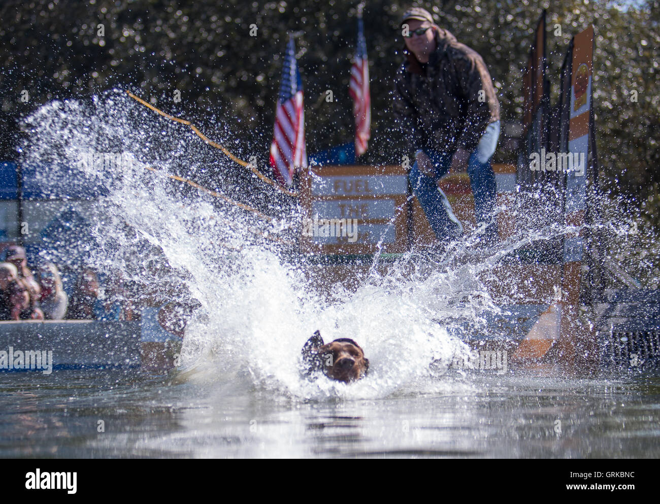 Dock Dogs jumping competition in Charleston, South Carolina. Dogs can