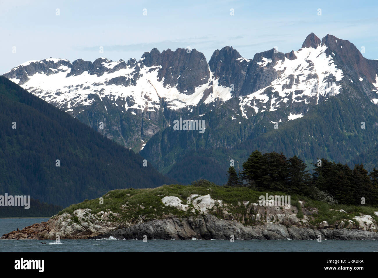 South Marble Island, Glacier Bay National Park, Southeastern Alaska. At the end, Mt Bertha and