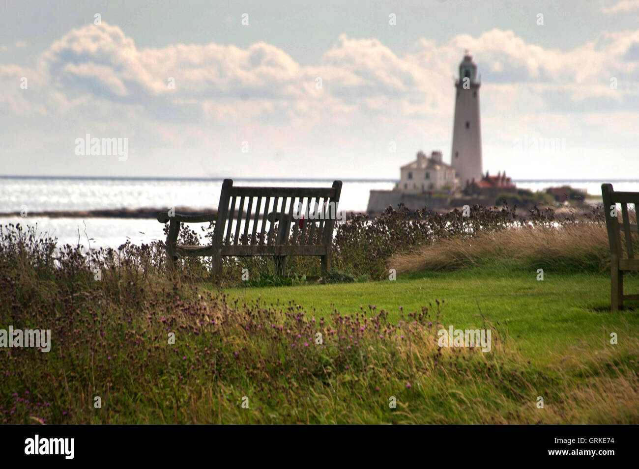 St Marys Lighthouse from Seaton Sluice, Whitley Bay Stock Photo Alamy