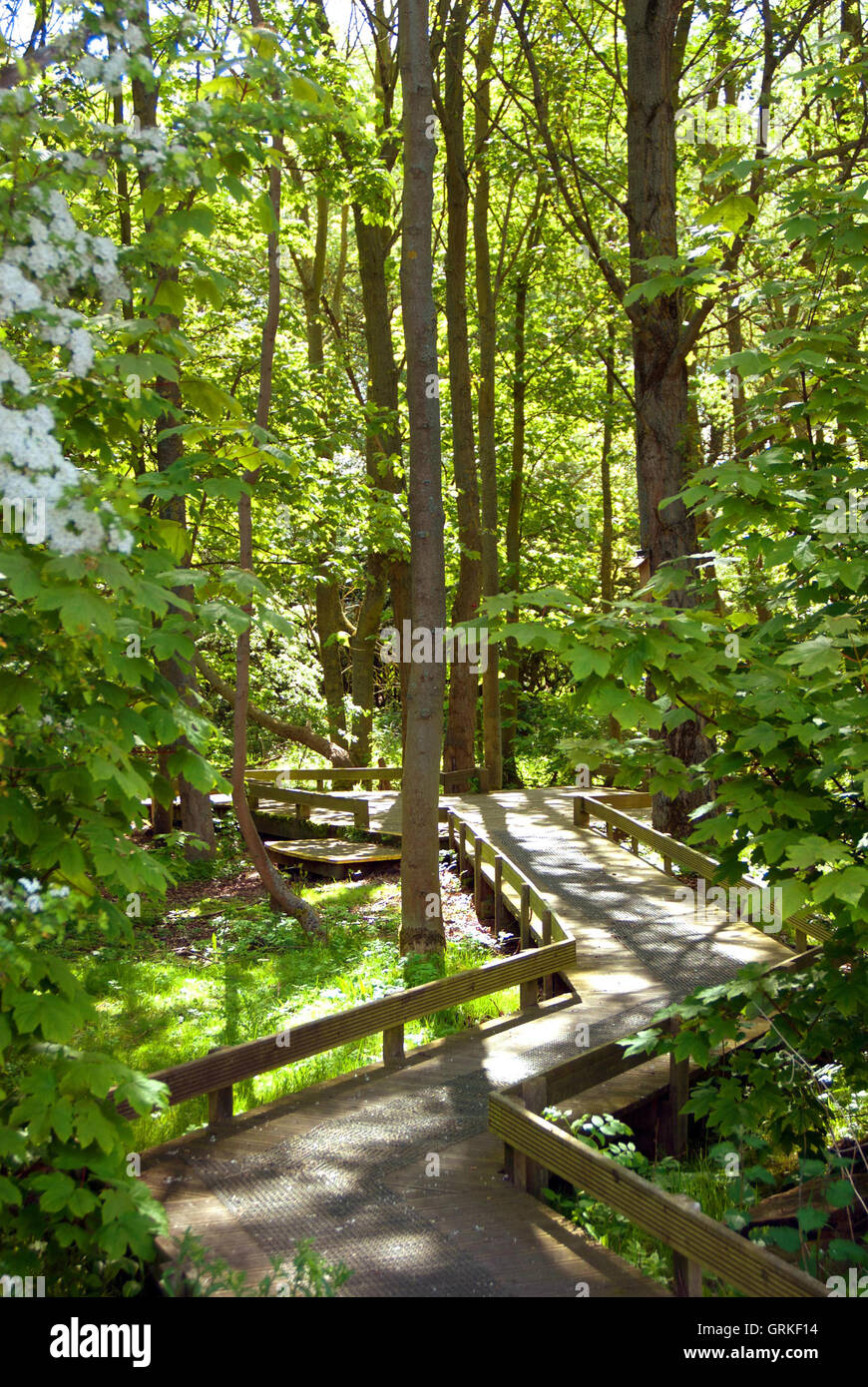 West Boldon Lodge / environmental education centre Stock Photo Alamy