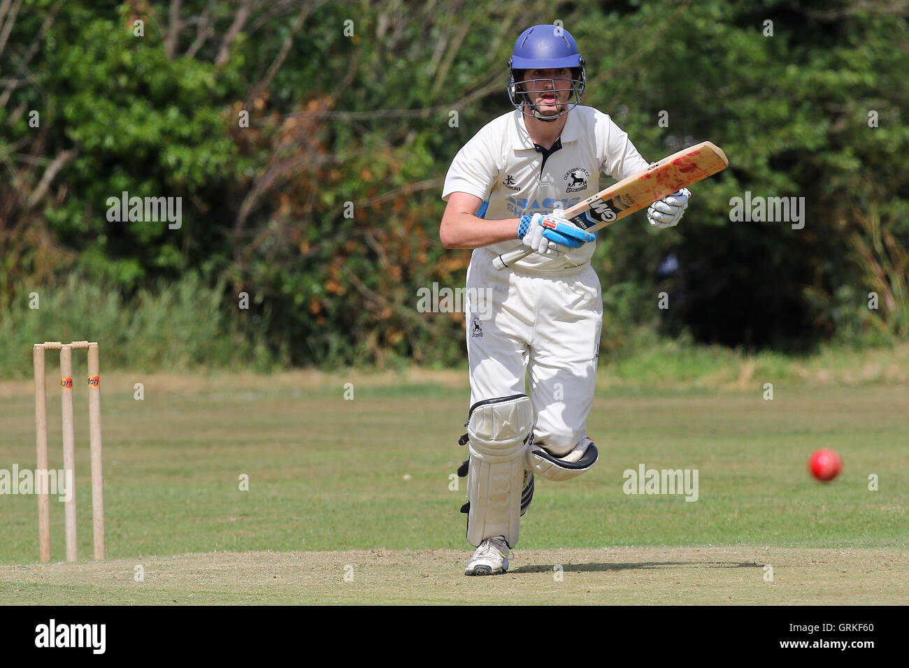 Hatfield Peverel CC (fielding) vs Goresbrook CC - Mid-Essex Cricket League - 27/06/15 Stock Photo