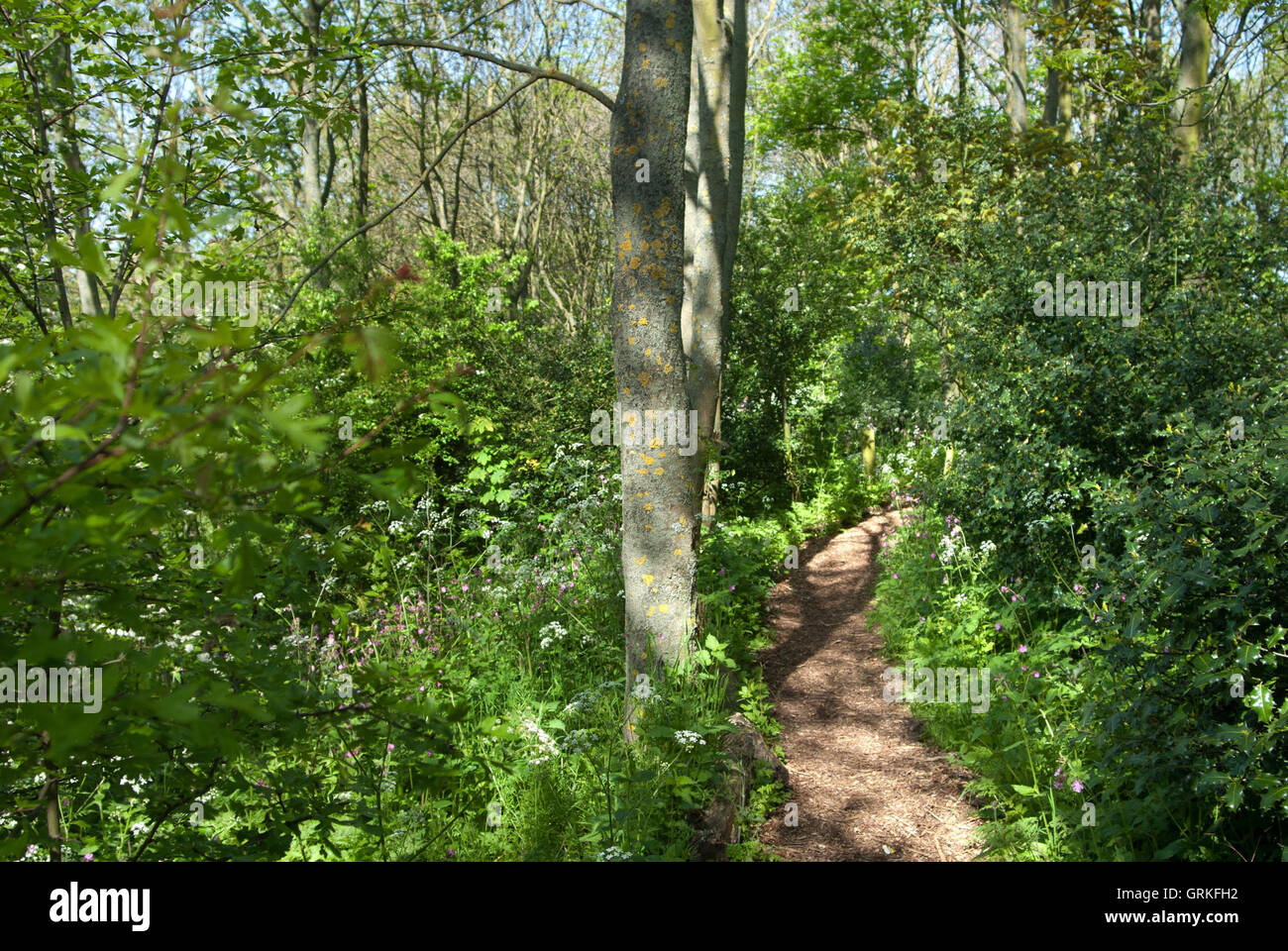 West Boldon Lodge / environmental education centre Stock Photo Alamy