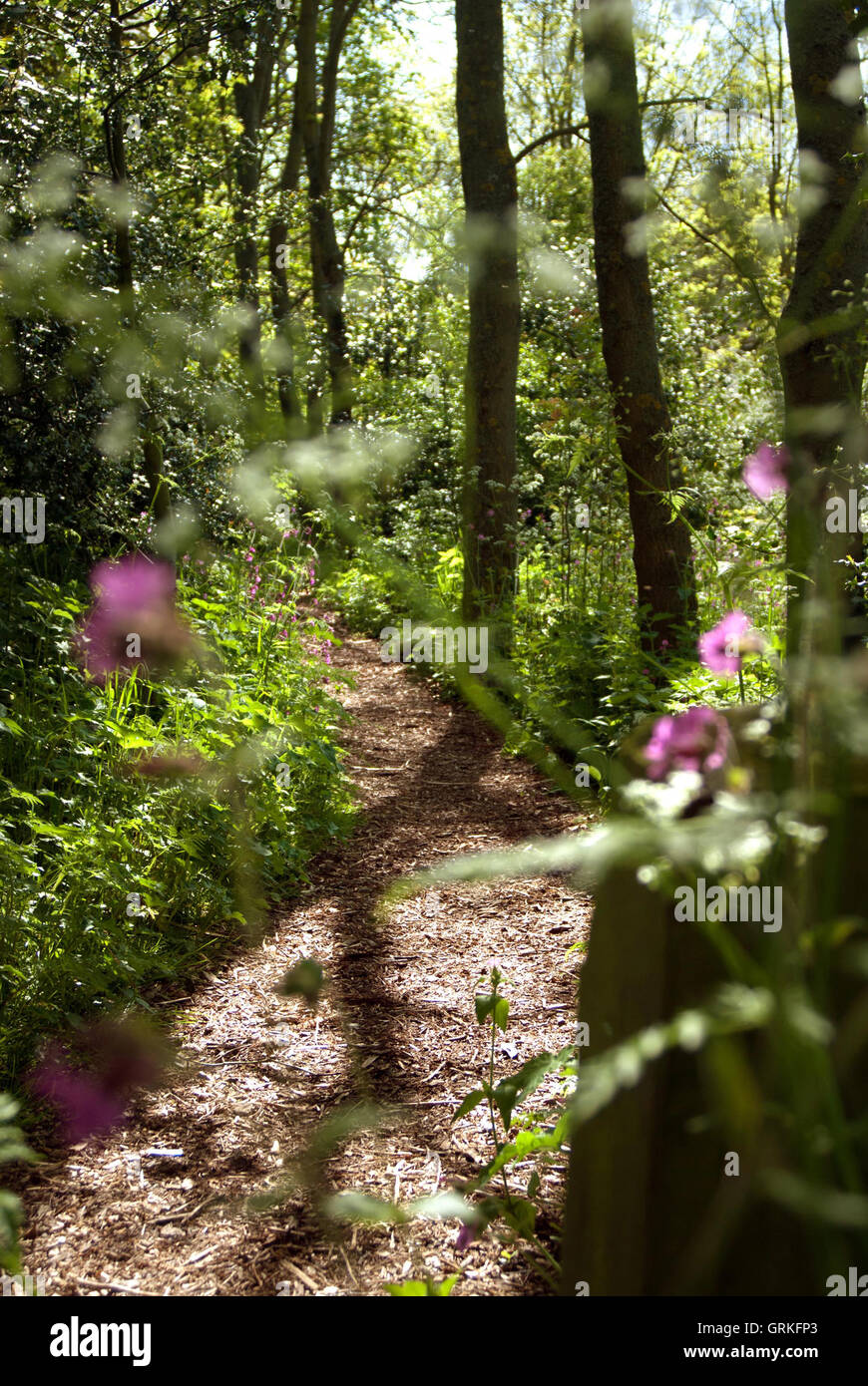 West Boldon Lodge / environmental education centre Stock Photo Alamy