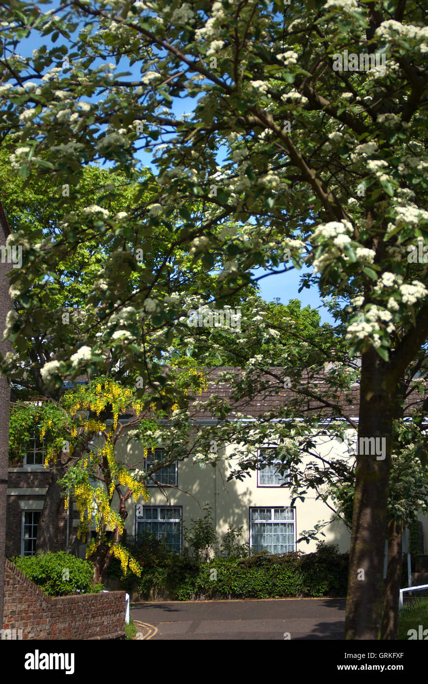 Westoe village, South Tyneside Stock Photo Alamy