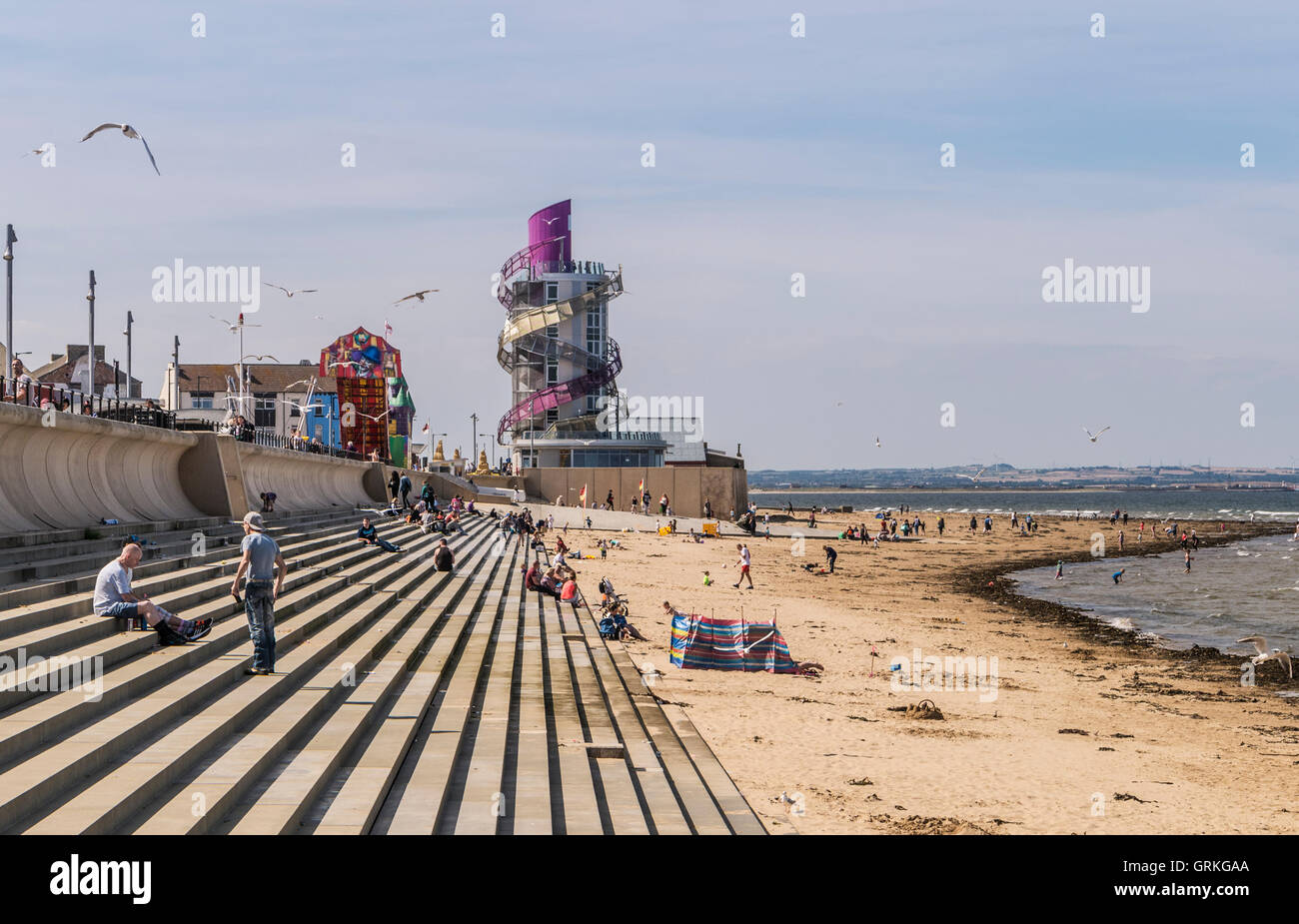 Does Redcar Beach Allow Dogs